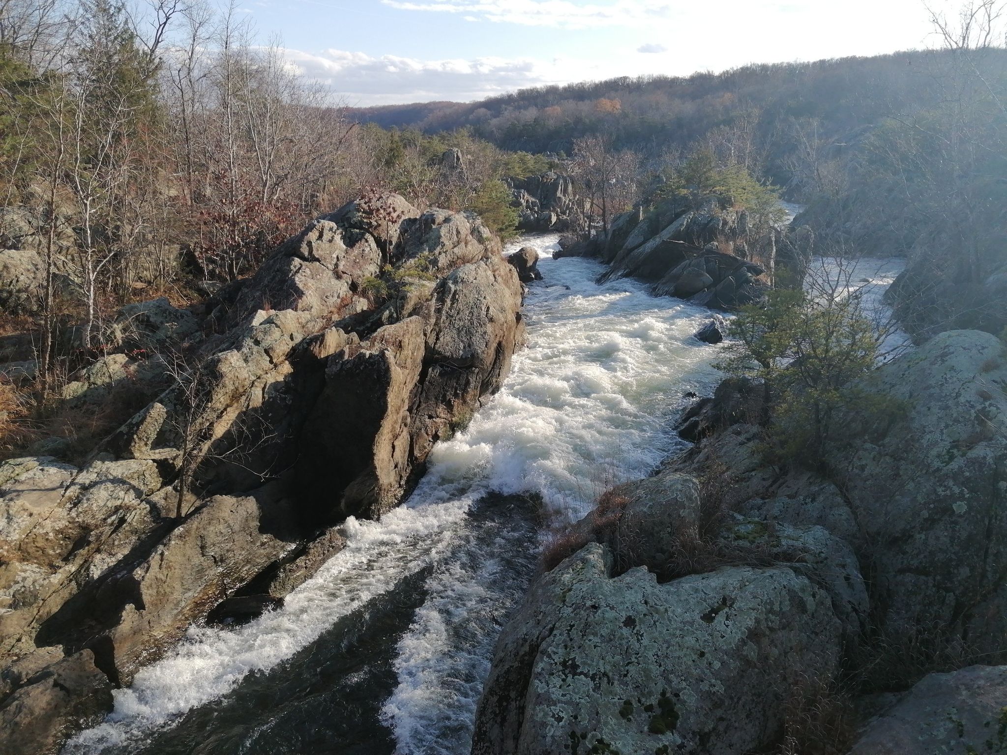 Whitewater rapids flow through a rocky channel with bare trees under bright sunlight. - Swains Lock – Great Falls Overlook loop from Watts Branch