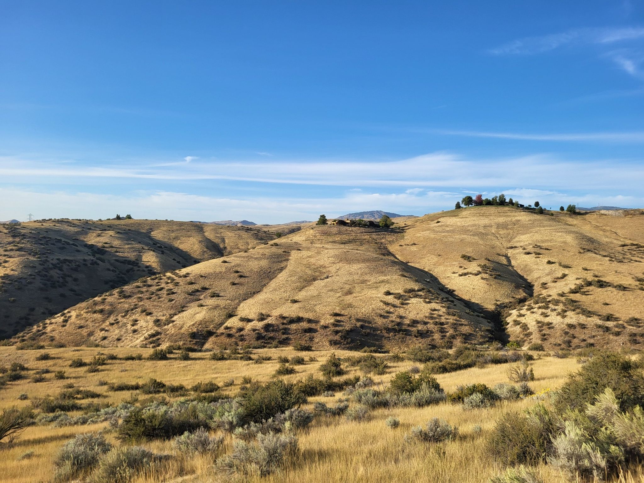 Rolling dry hills under a bright blue sky with scattered shrubs. - Crestline, Sidewinder, and Red Cliffs Loop
