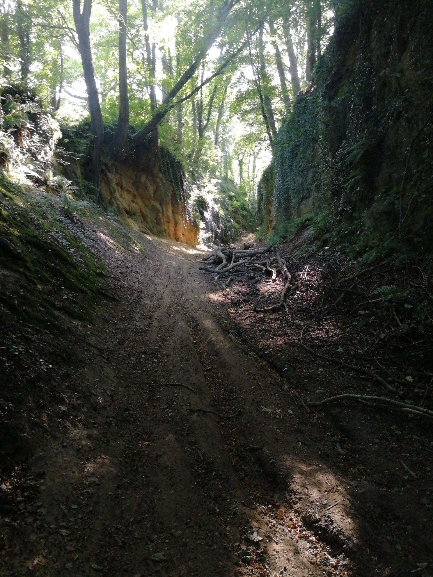 hollow