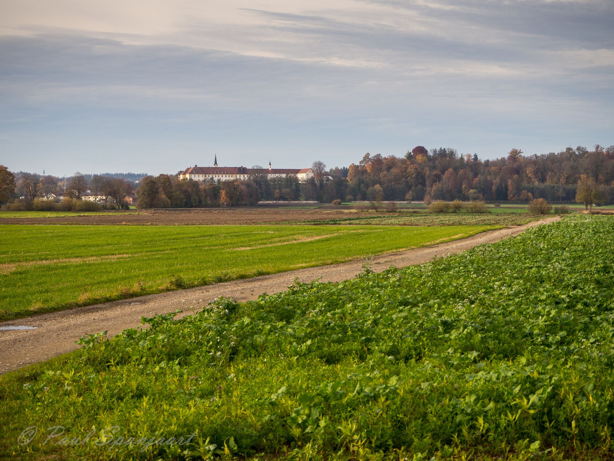 Blick zum Kloster in Zangberg