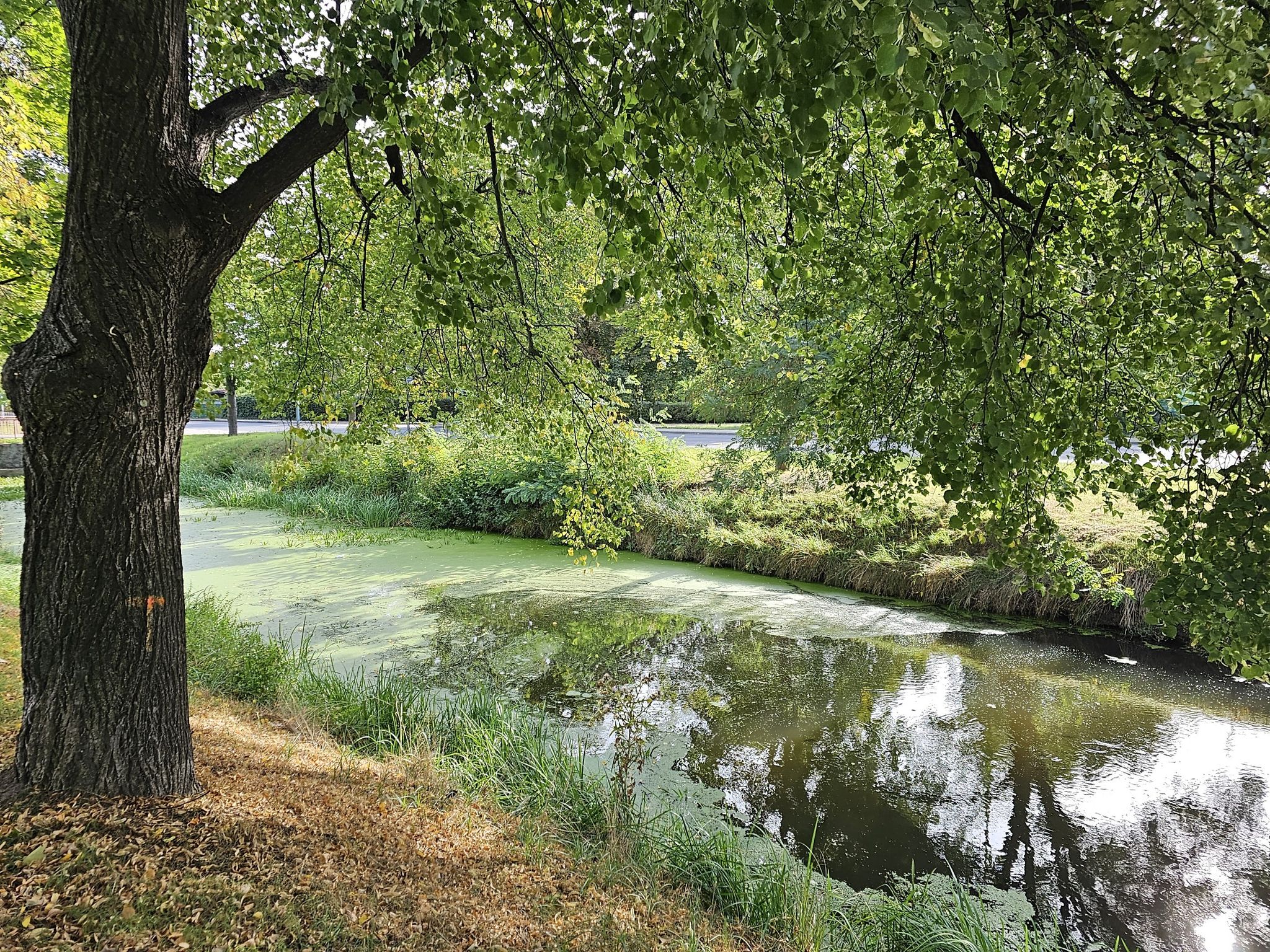Am Kanal