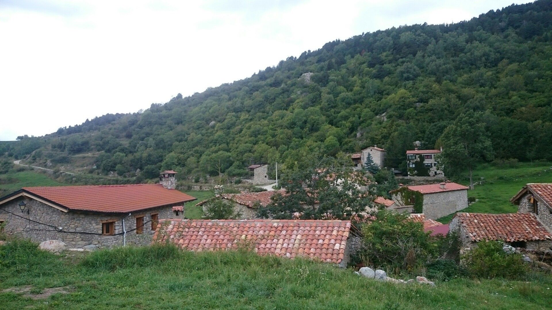 Villiella 