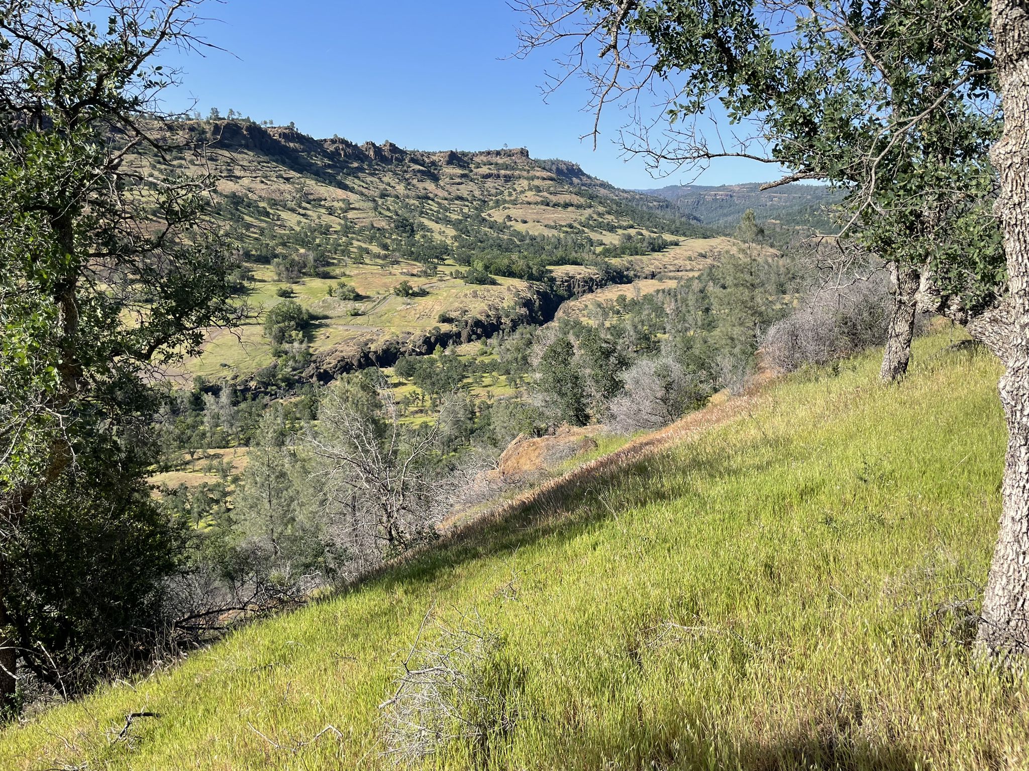 Sunny view of a green valley with trees and distant hills from a grassy slope. - Annie Bidwell Trail – South Rim Trail loop from North Valley Pillsbury Road Butte College Bus Transfer