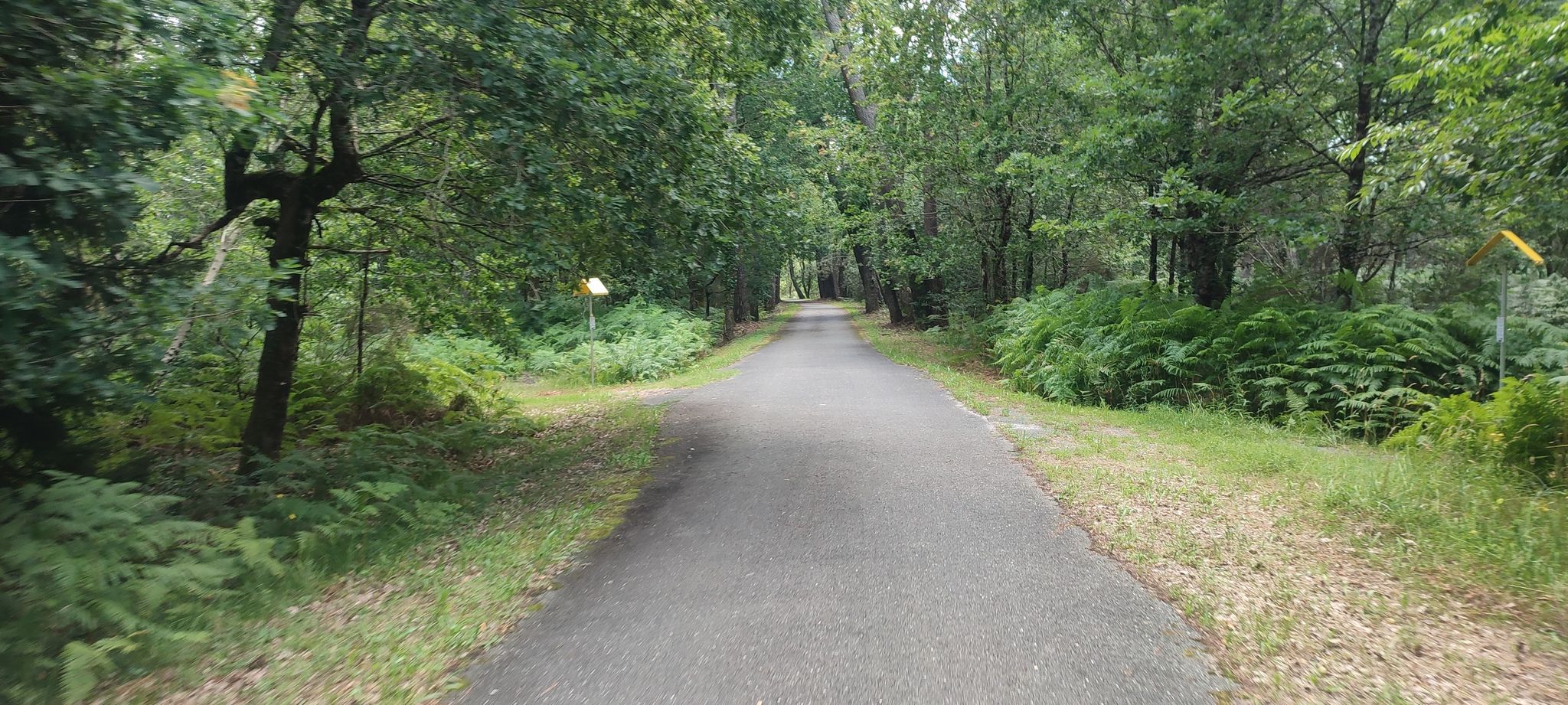 Bahntrassenradweg EV3 und D805 nach Hostens