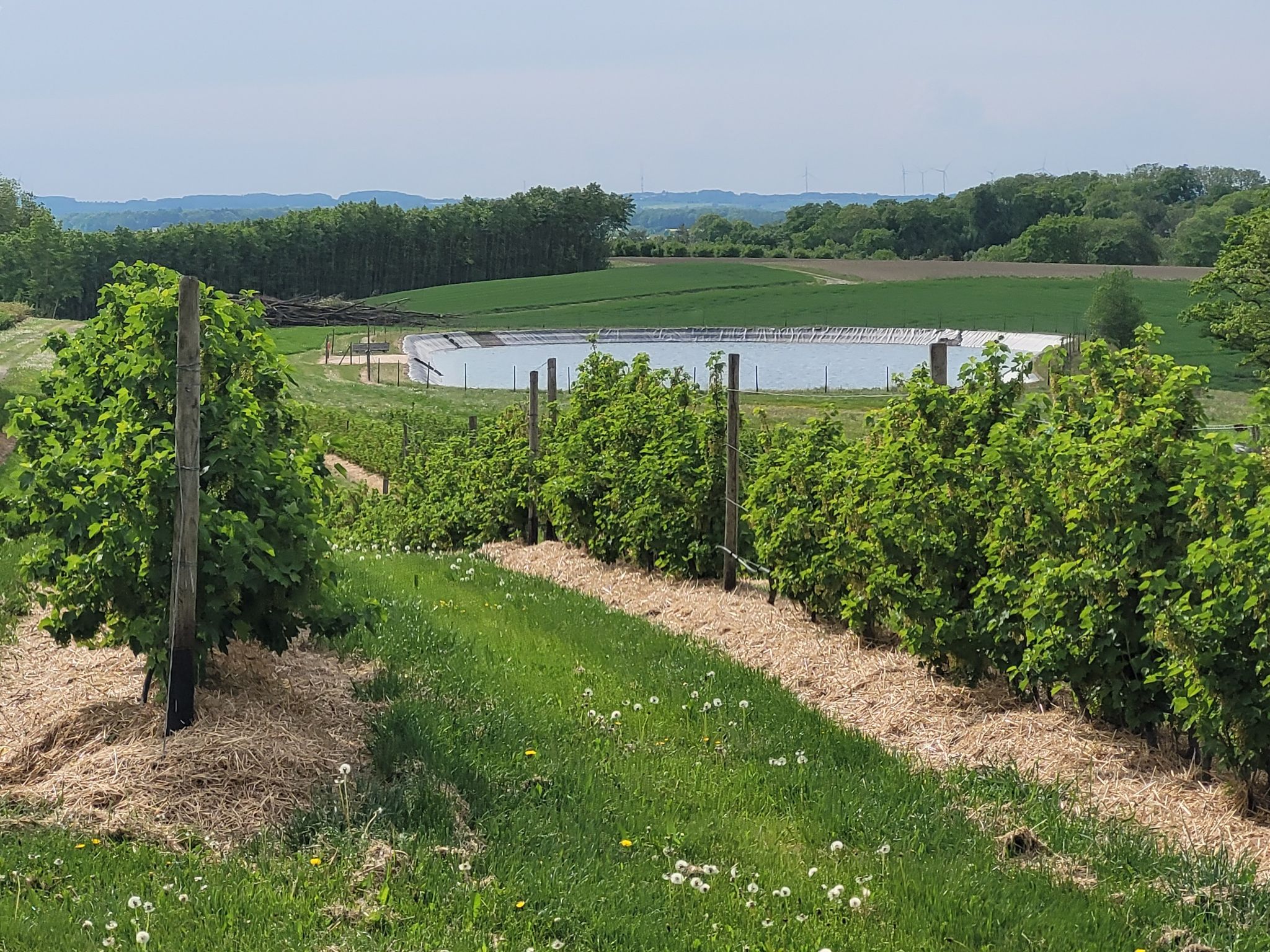 Speichrsee Rossbürg