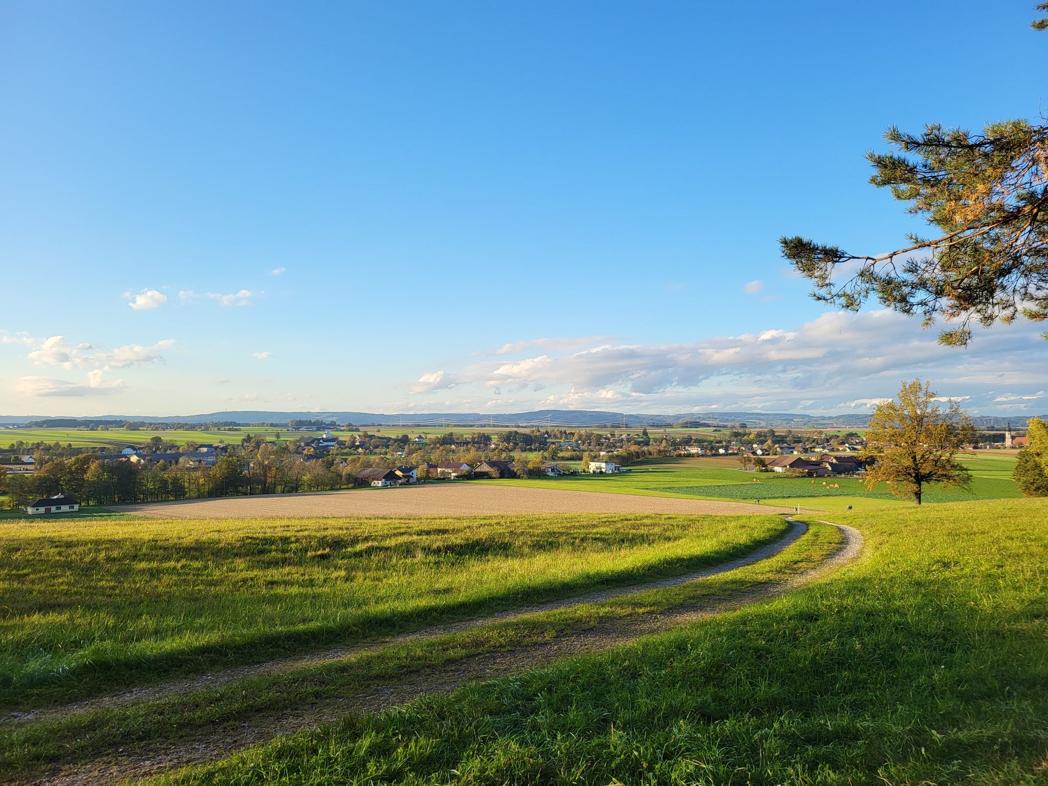Panoramablick vom Waldesrand und Ruhebank aus gesehen