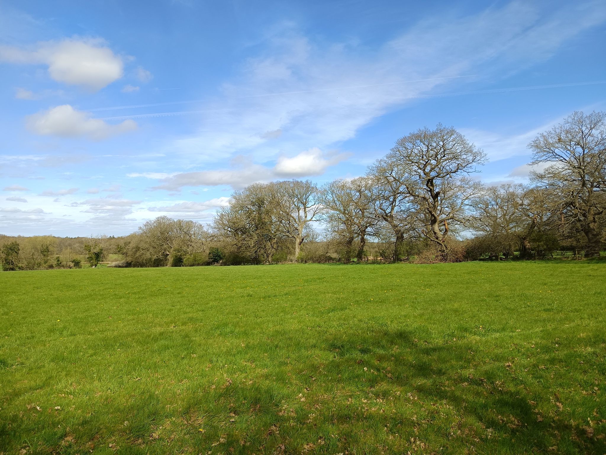 panorama from the bench 