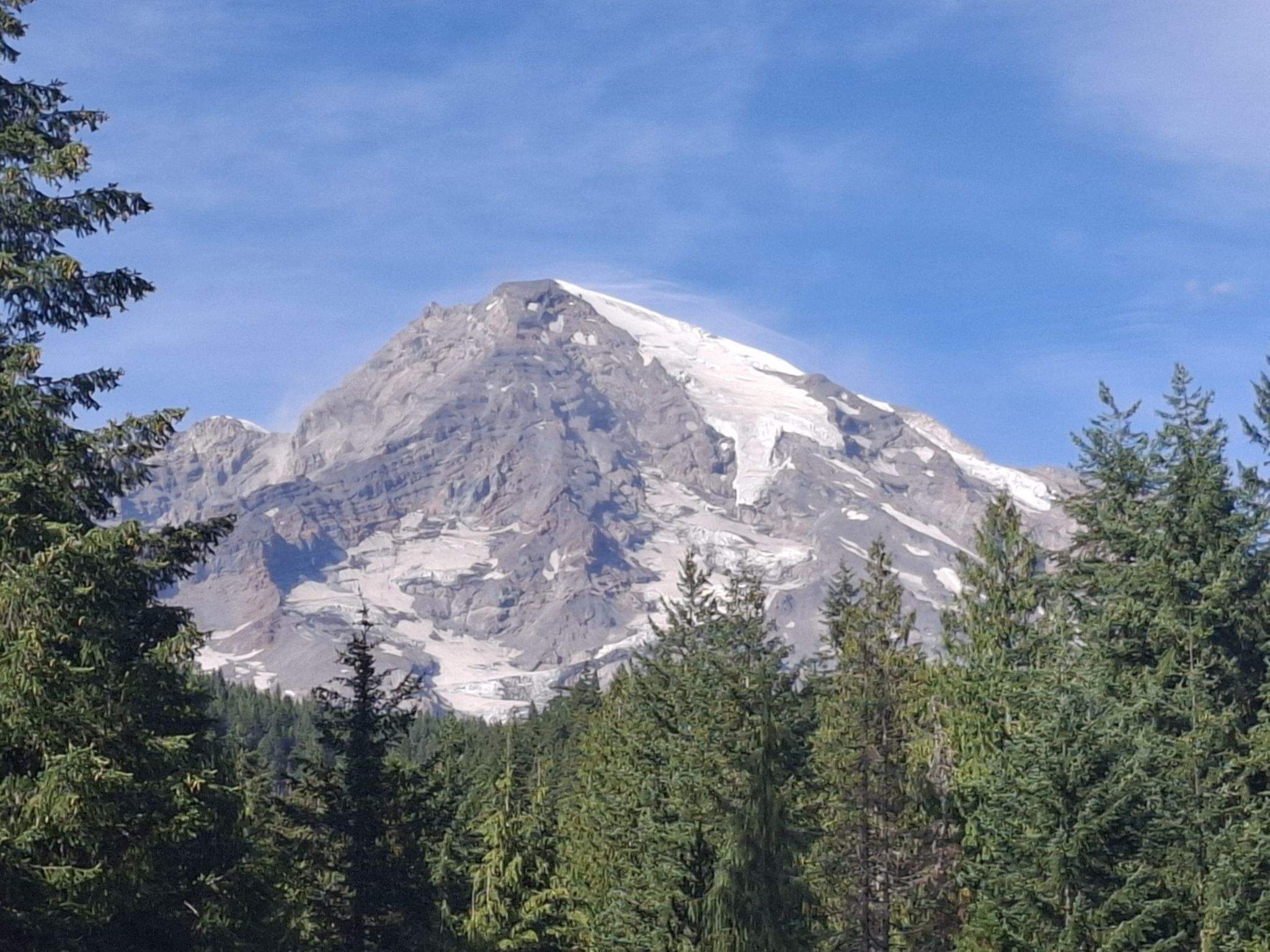 A large snow-covered mountain peak is visible above a line of evergreen trees. - Twin Firs Loop Trail – Longmire Historic District loop from Ashford