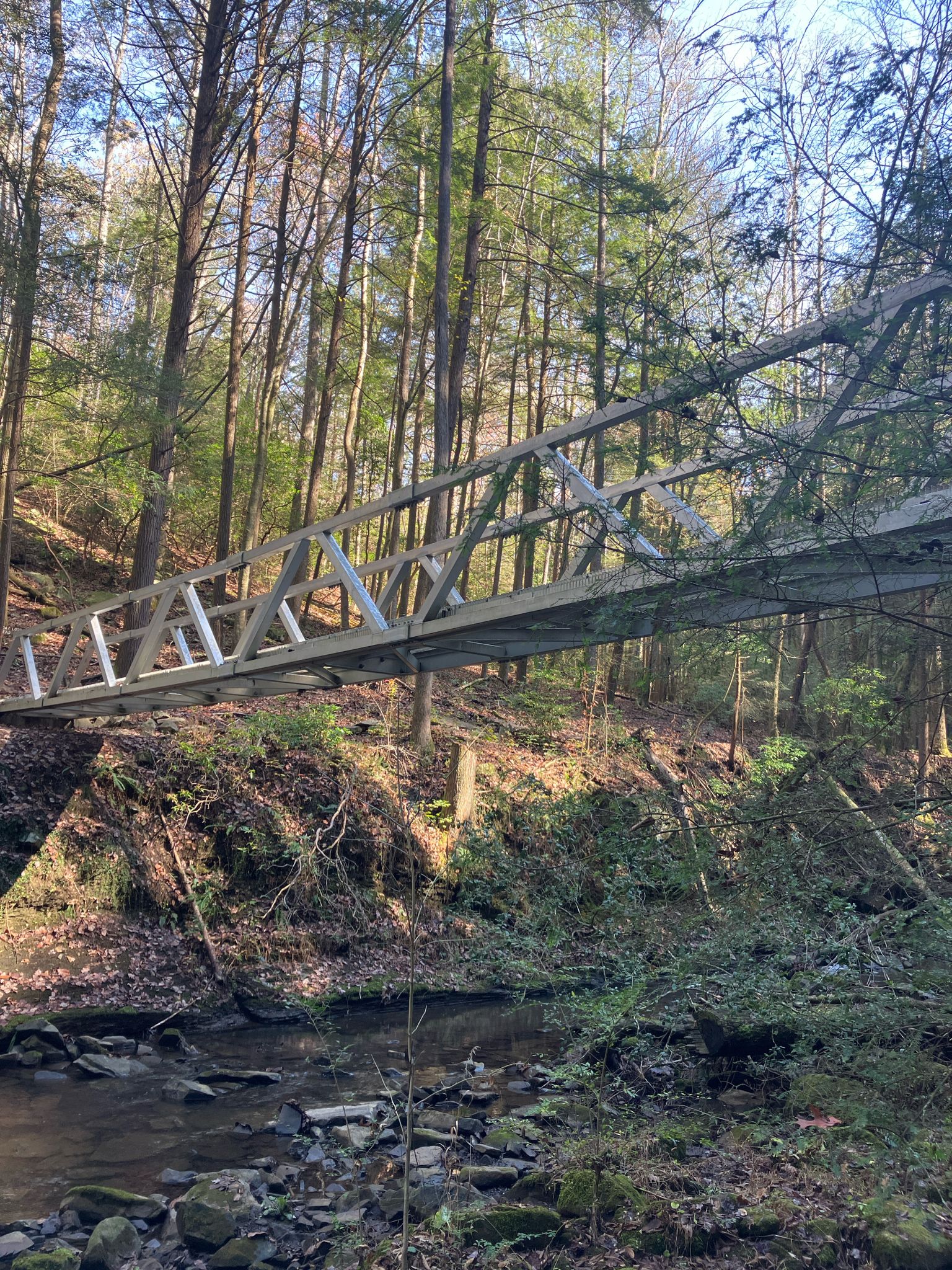 A metal truss bridge spans a small stream in a sunny forest. - Grundy Forest Day Loop