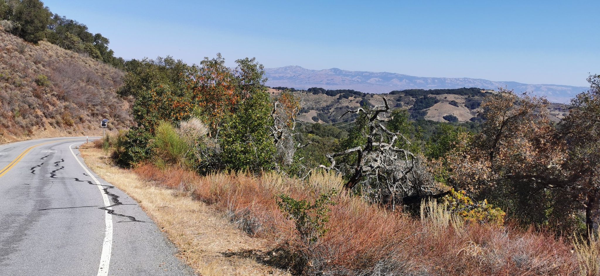 Winding road with dry grass and trees, distant mountains under clear sky. - Mount Umunhum Loop