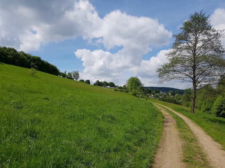 Lauter Conradswiese Pollermann Griesetal Lauter