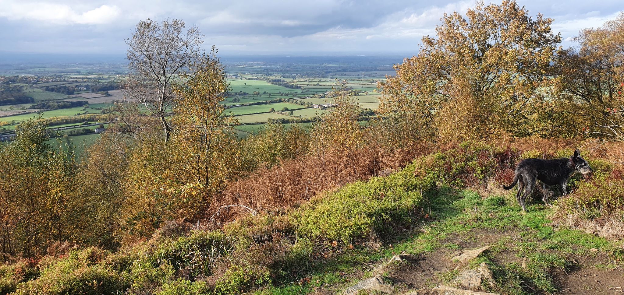 great viewpoint