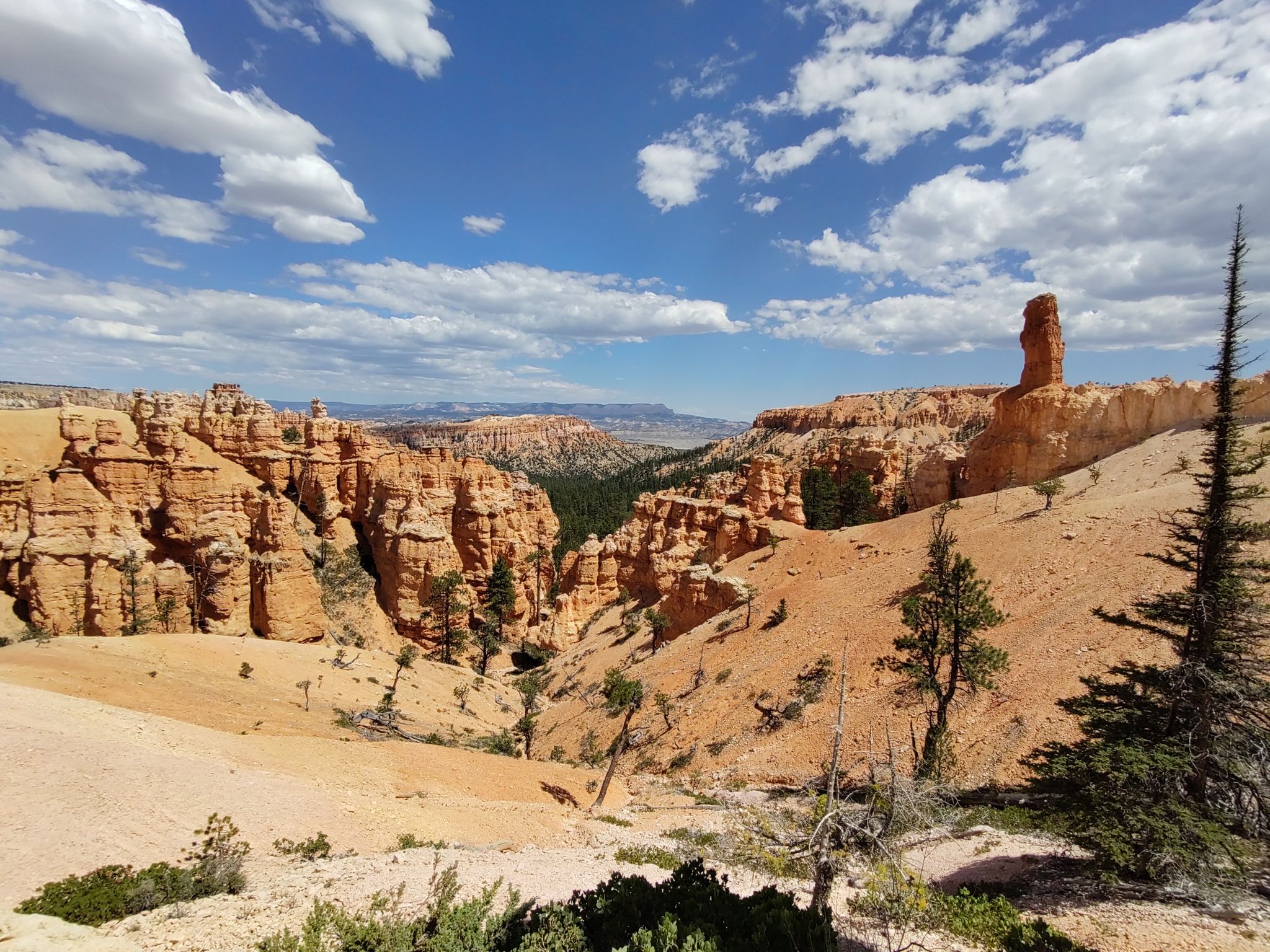 Expansive view of orange rock formations, green trees, and a blue sky. - Peekaboo Loop Trail