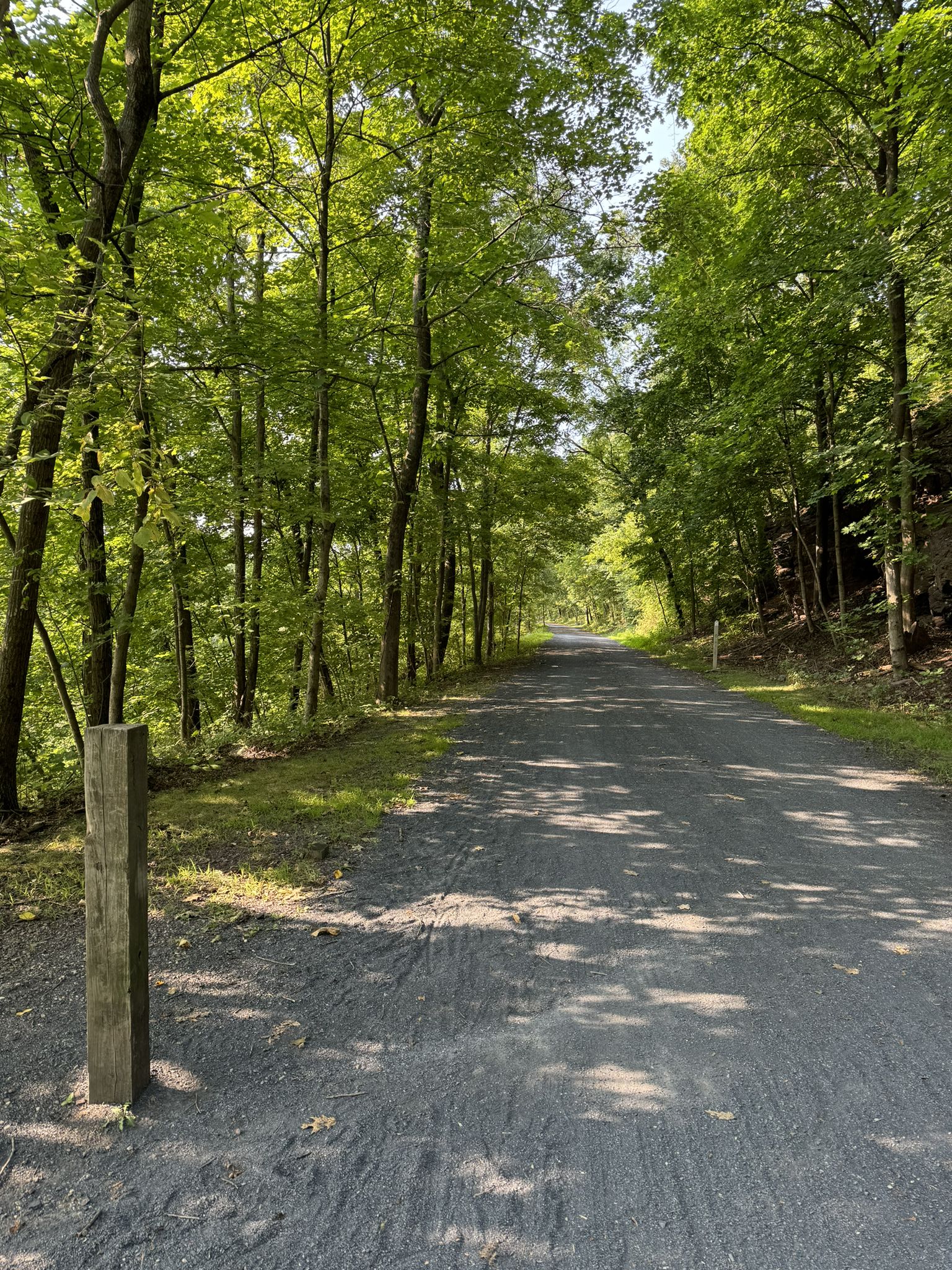 Shaded gravel path through a dense forest on a sunny day. - Perkiomen Bicycles loop from Green Lane
