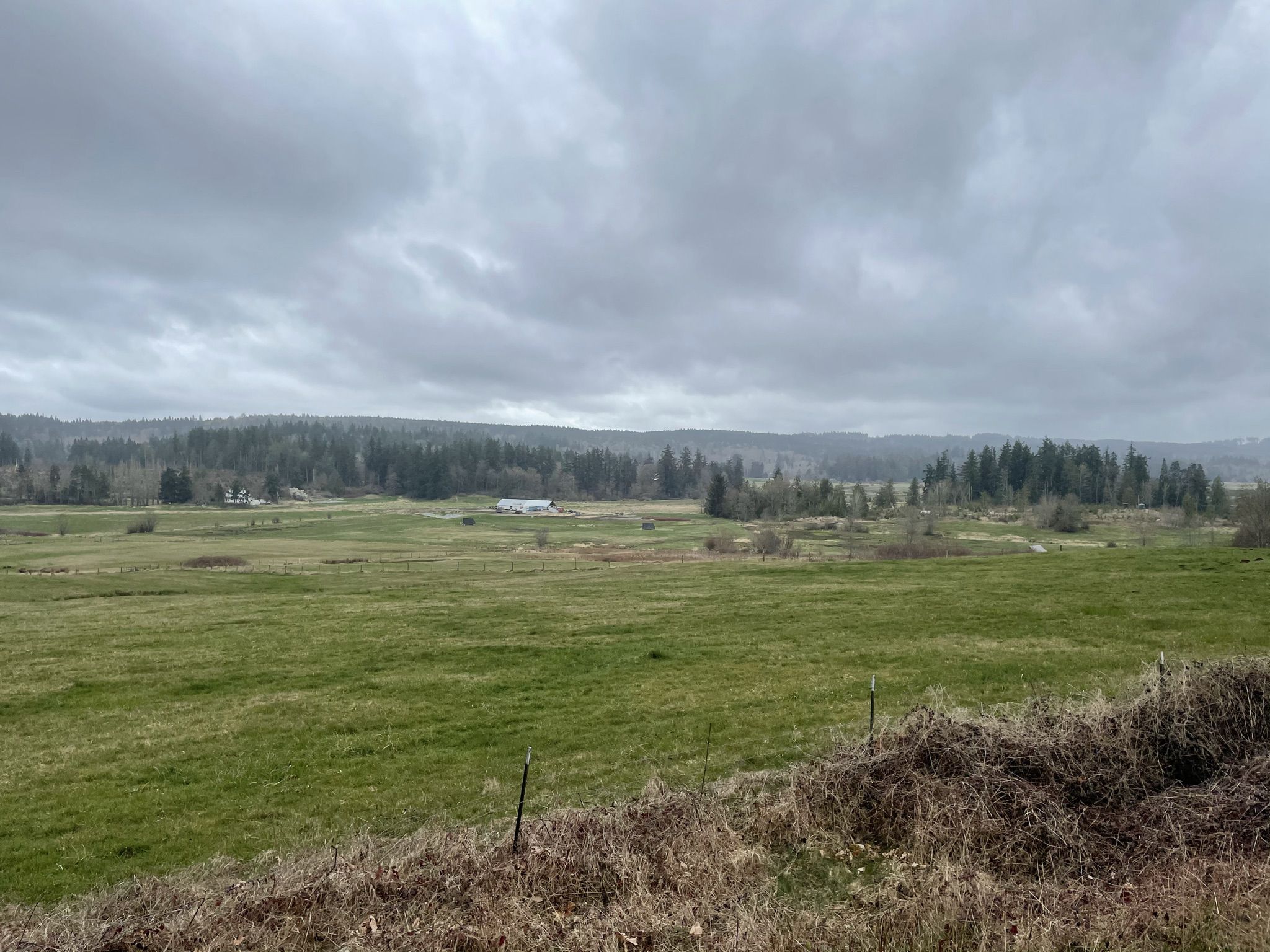 Wide green field under a cloudy sky with distant forests. - Port Townsend, Port Hadlock, and Port Ludlow loop