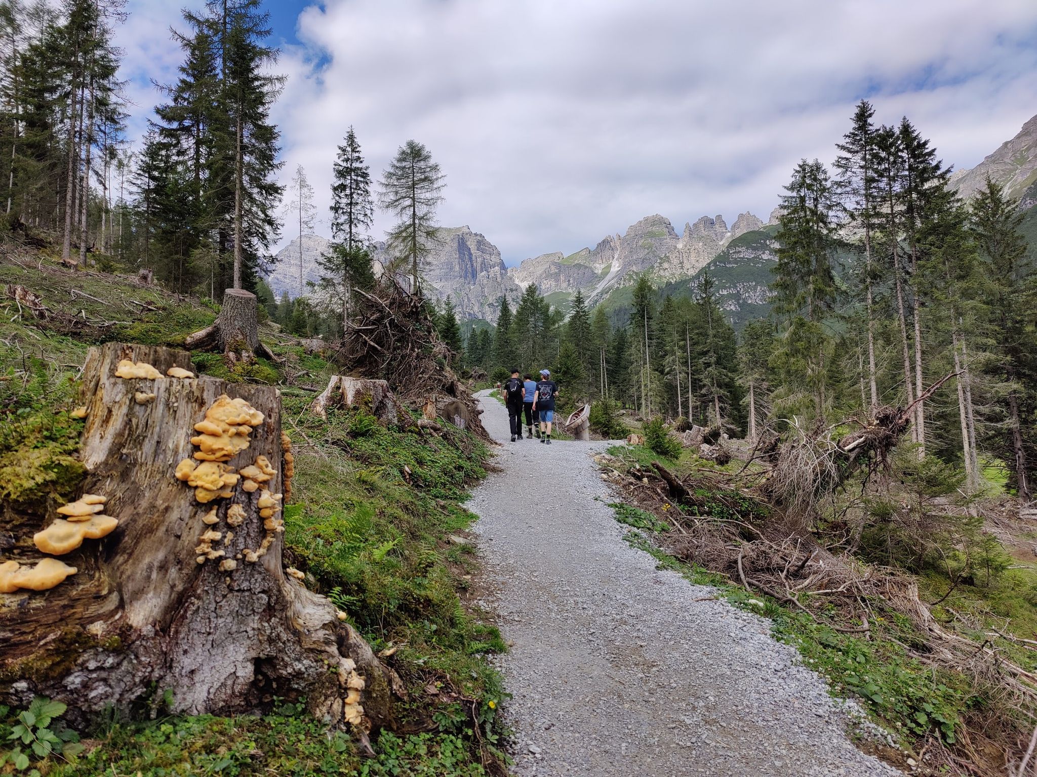 Aufstieg am Scheibenweg