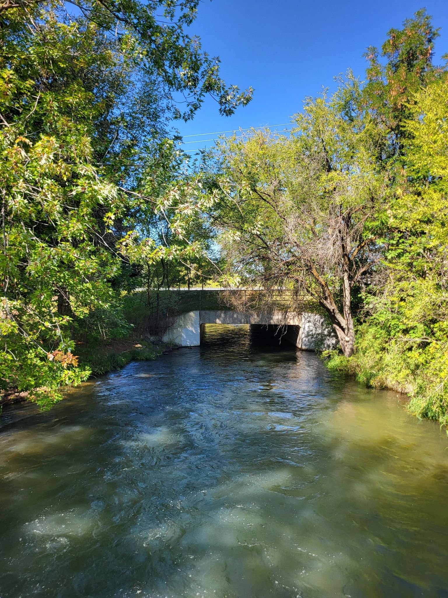 A river flows under a stone bridge, surrounded by vibrant green trees. - Boise River Greenbelt – Boise River Greenbelt loop from Hillside to Hollow Reserve