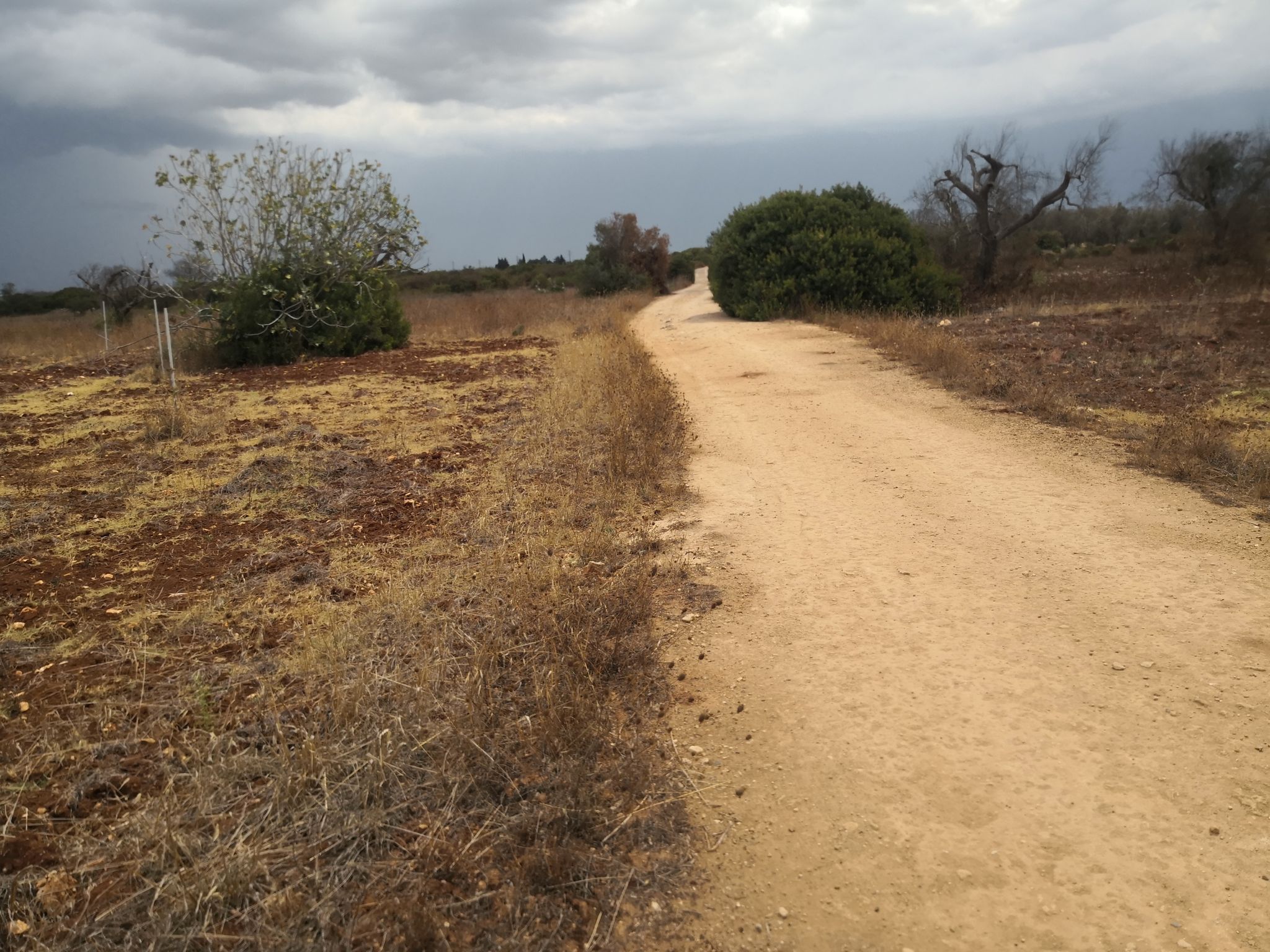 I colori delle strade d'Arneo