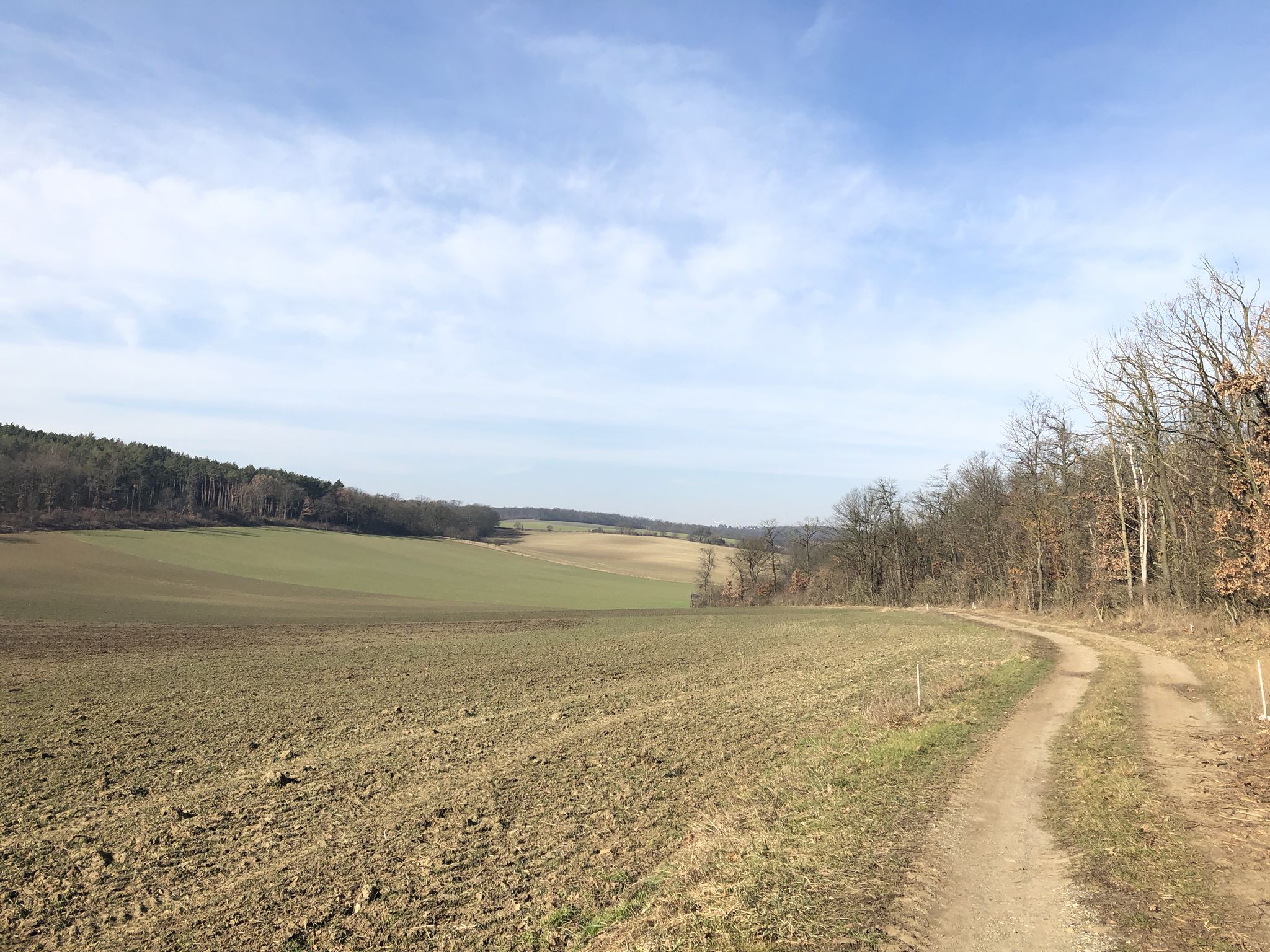 Ausblick ins Weinviertel