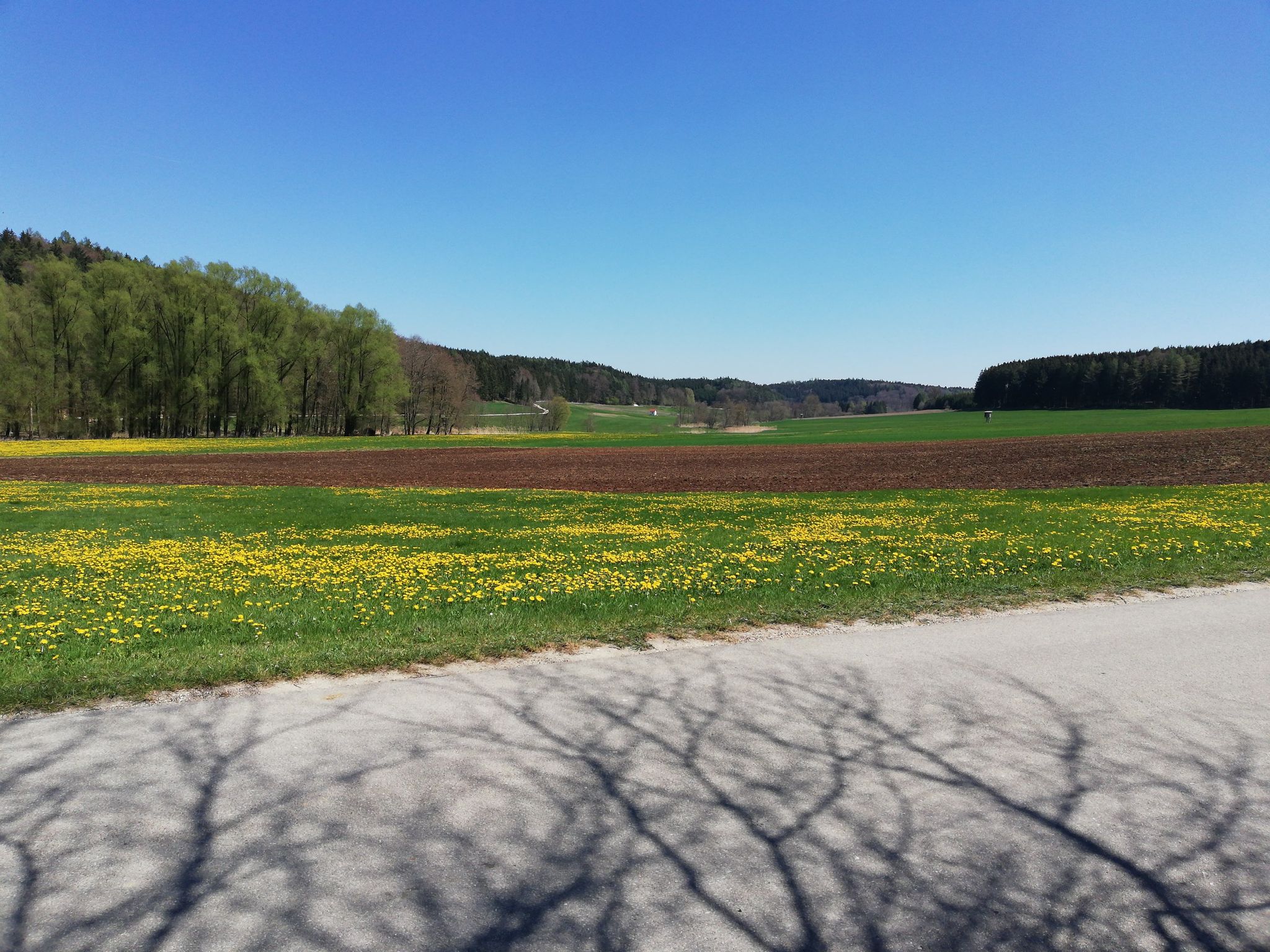 Blick ins Glötttal