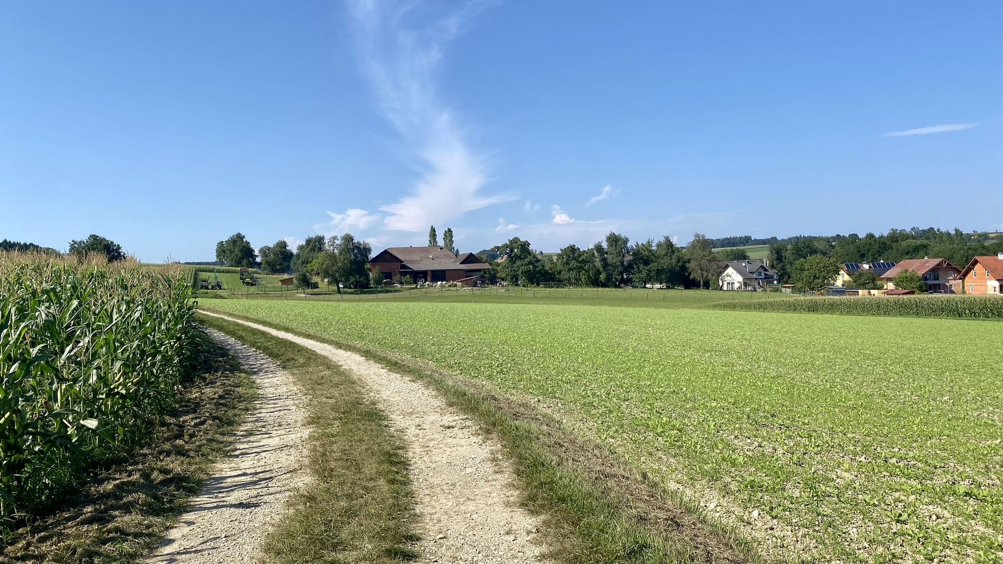 Bsp. für schöne Feldwege