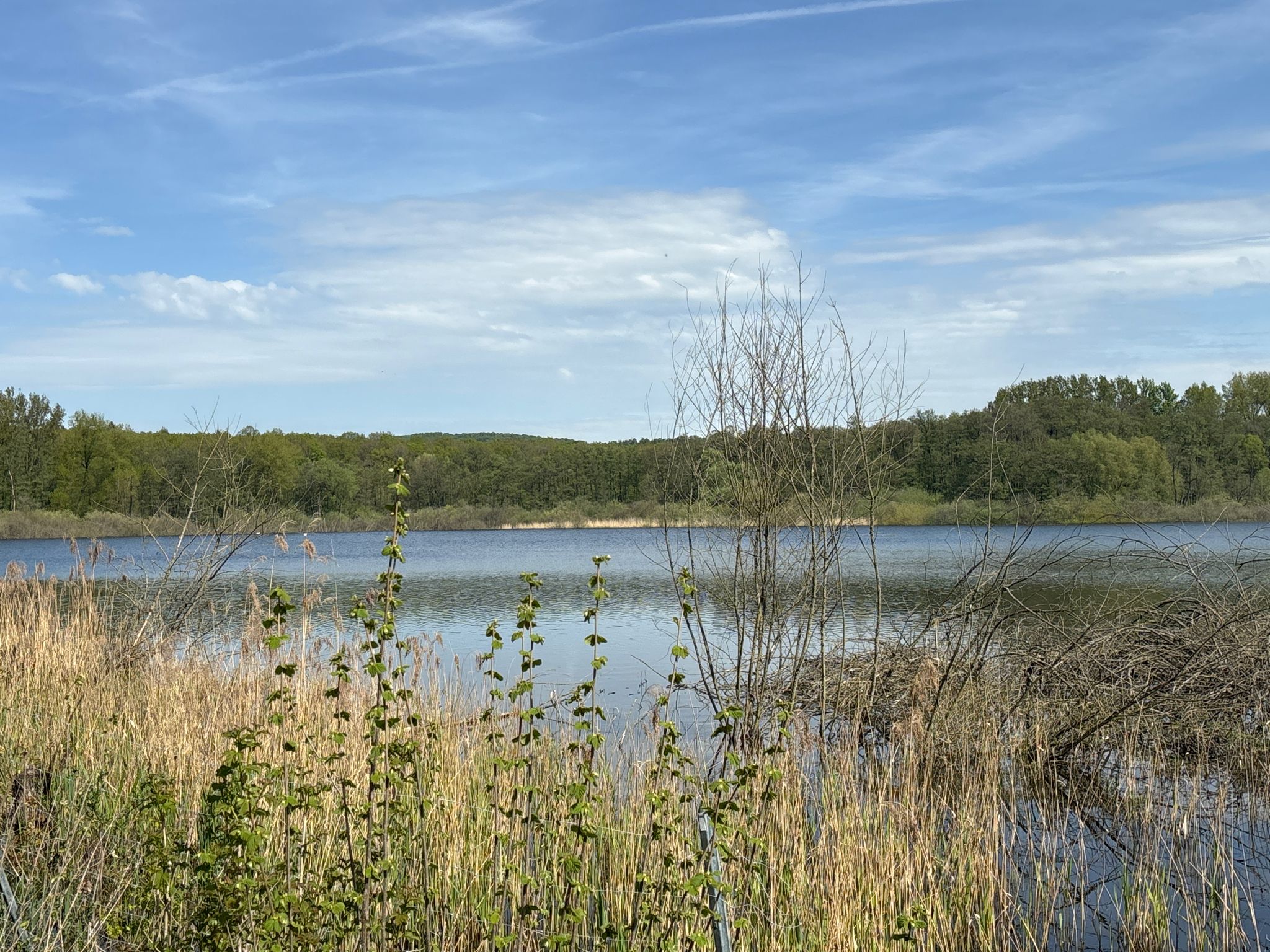 Norderteich
