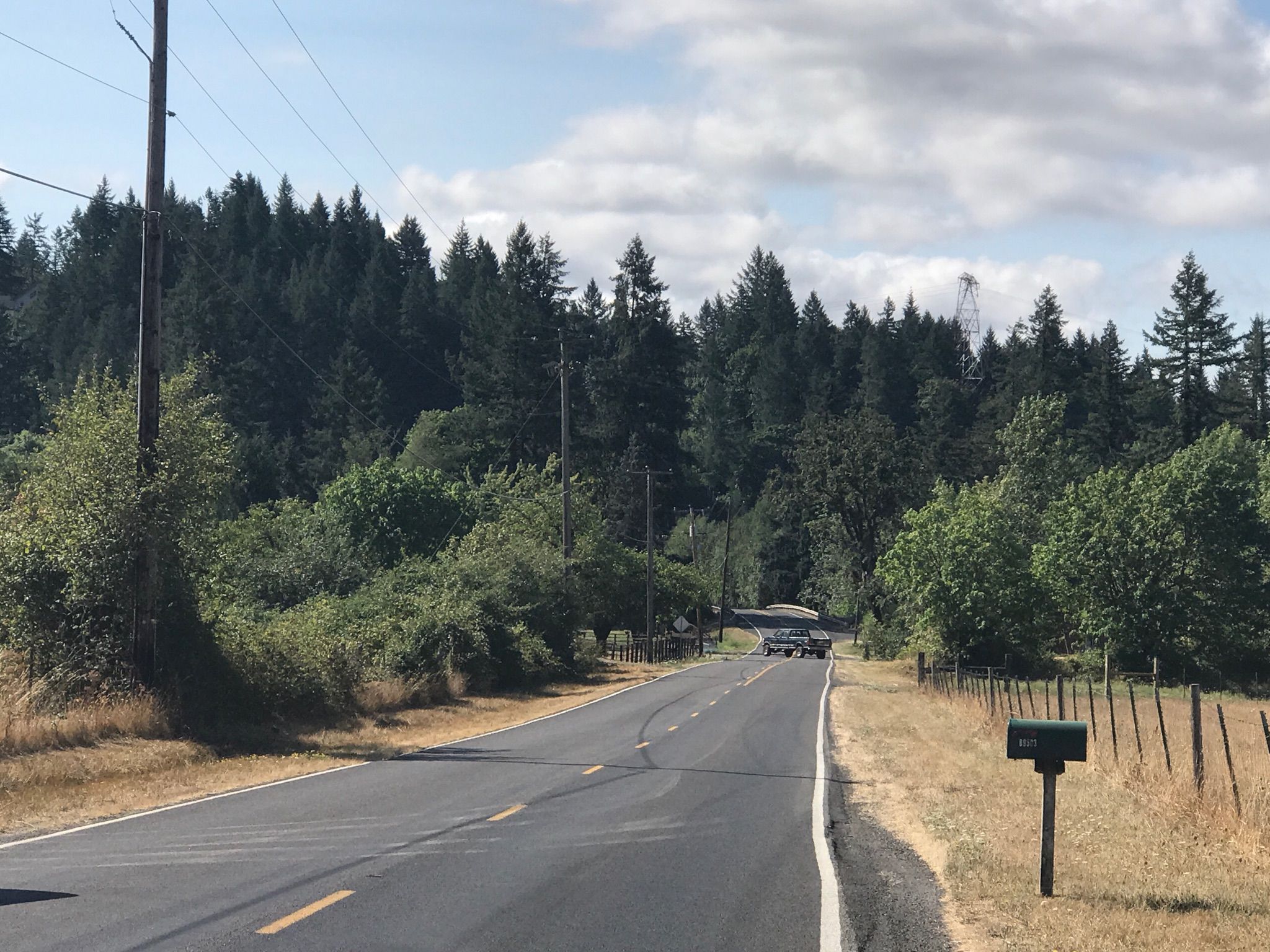 Paved road through a rural landscape with distant forest under a cloudy sky. - McKenzie River – Hayden Bridge loop from Weyerhaeuser McKenzie Natural Area