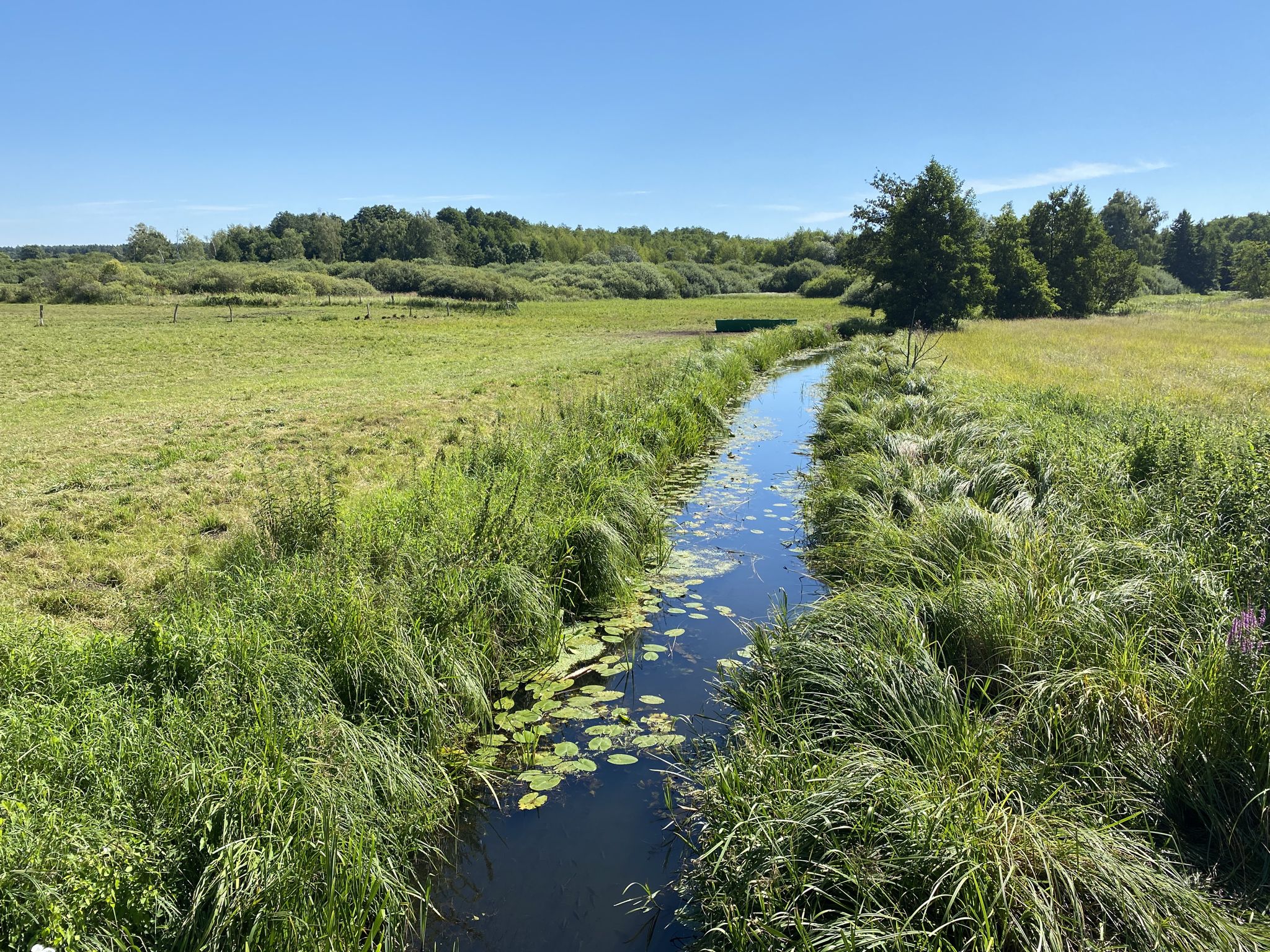 entlang der B96