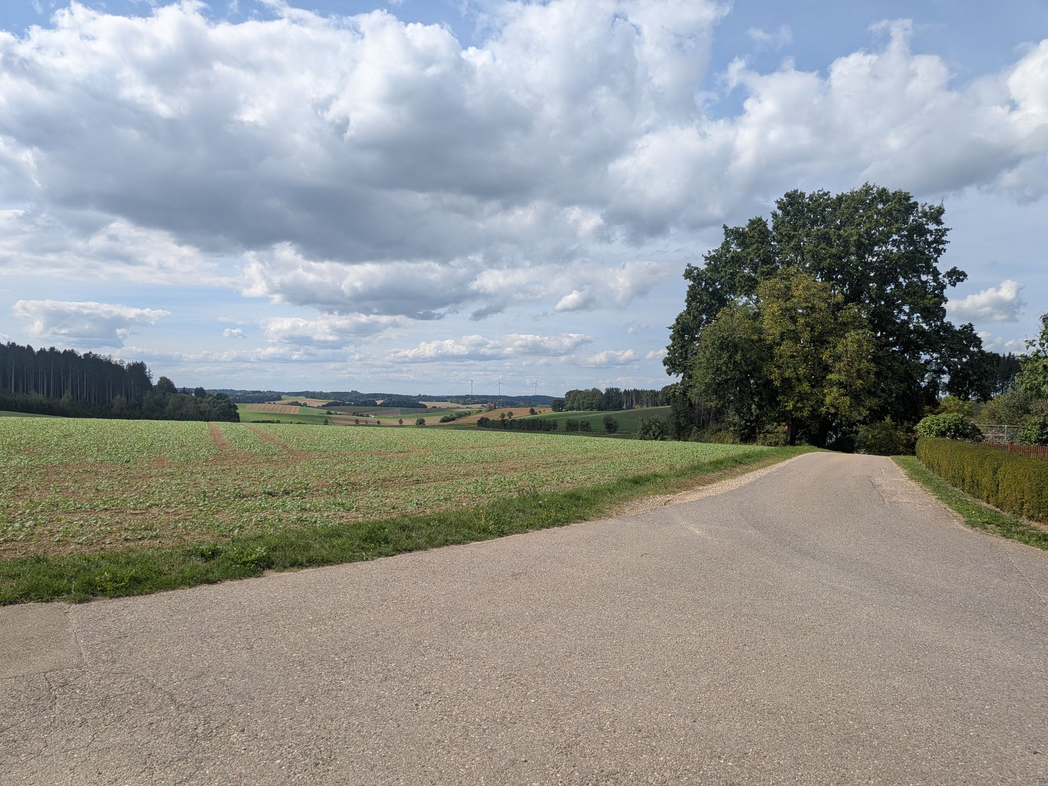 traumhafte Gegend