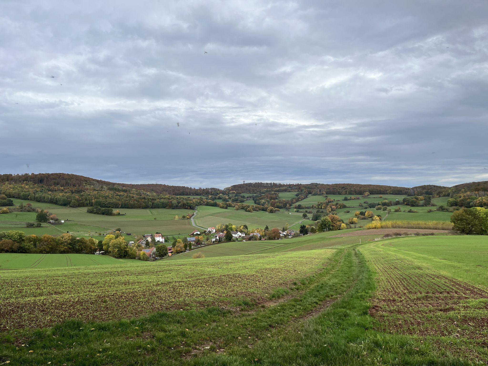 Rosentalblick