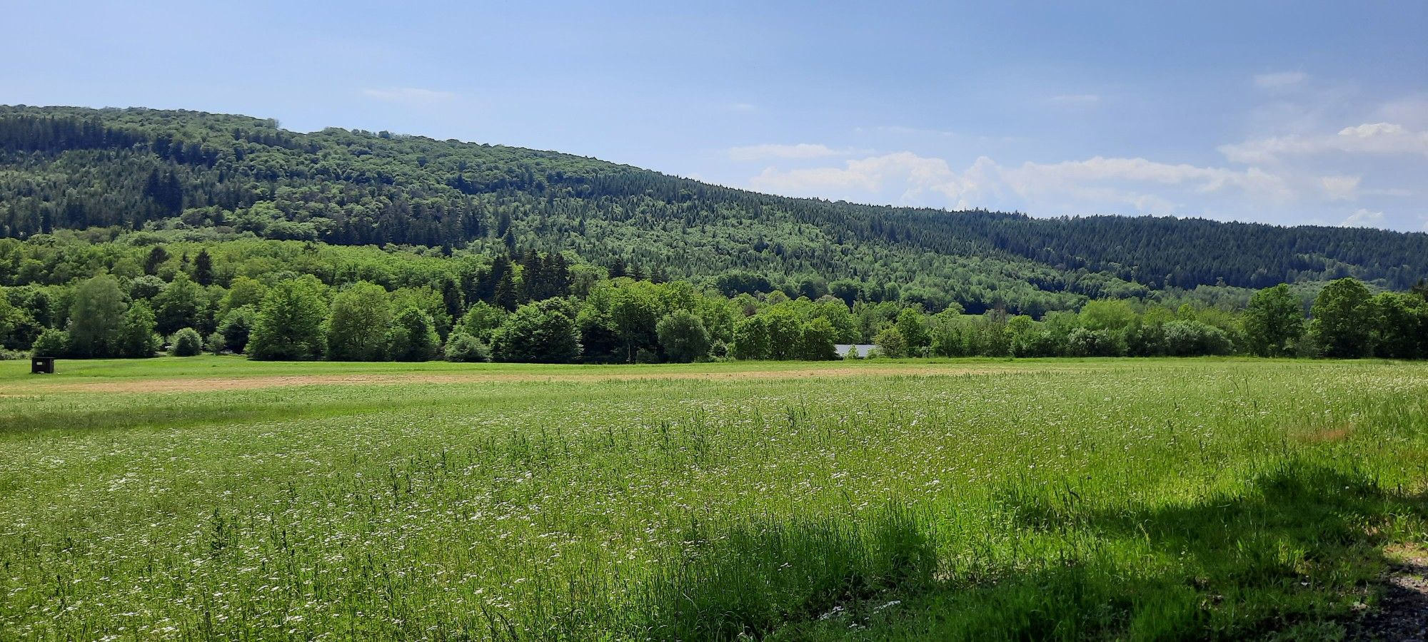 Kasselgrund