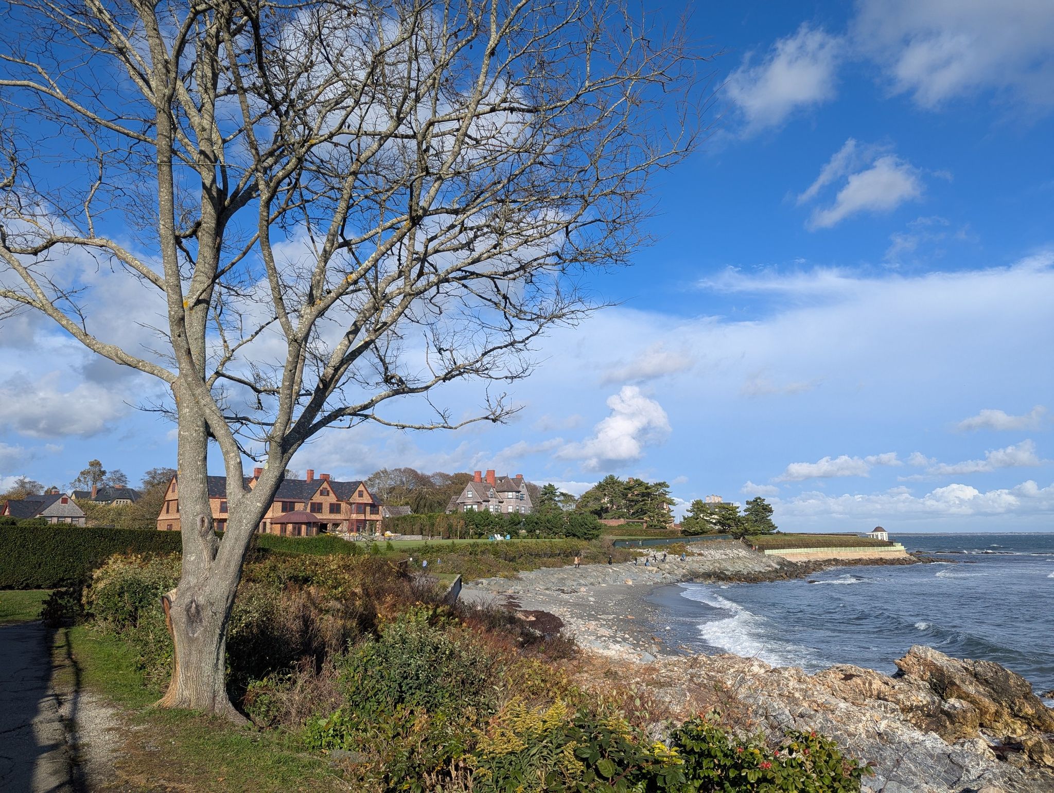 Bare tree frames sunny coastline with distant houses and blue sky. - Cliff Walk