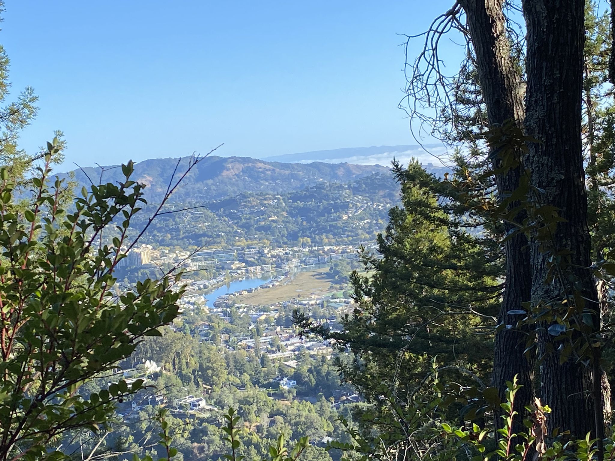 Overlook of a town with a river, nestled among green hills on a clear day. - Blithdale Loop
