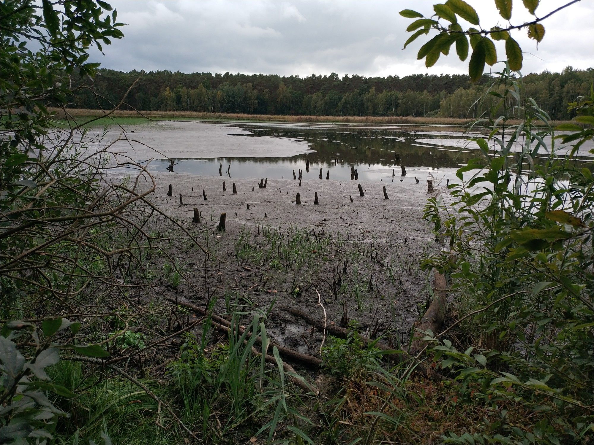 Silbersee