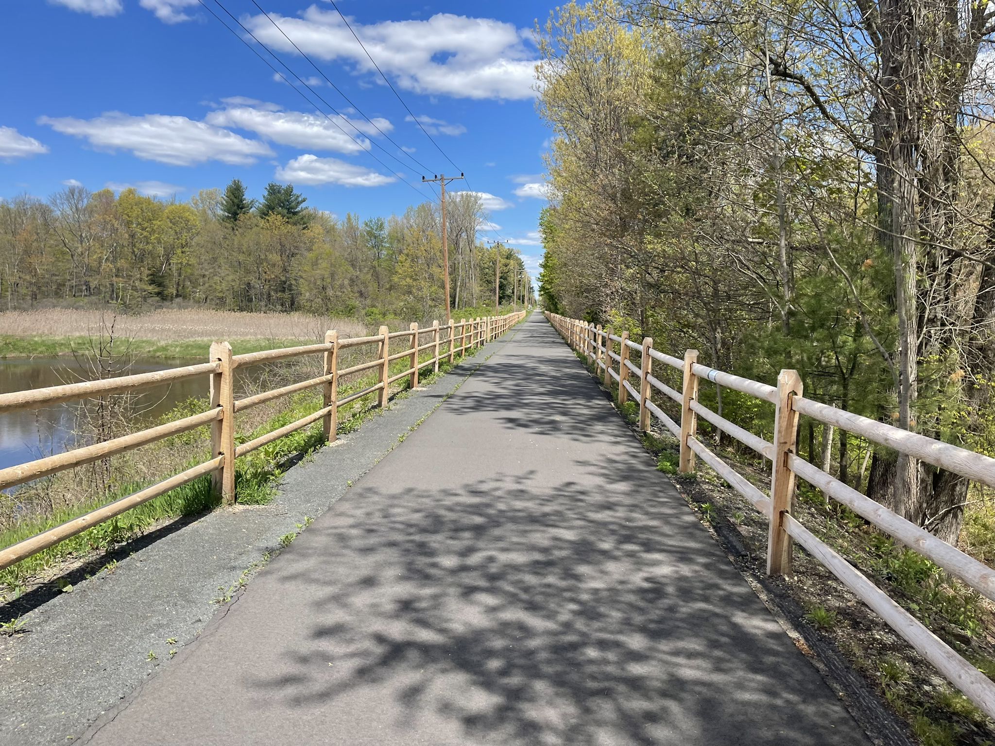 Sunny paved path lined with wooden fences and trees on a clear day. - Farmington Canal Heritage Trail