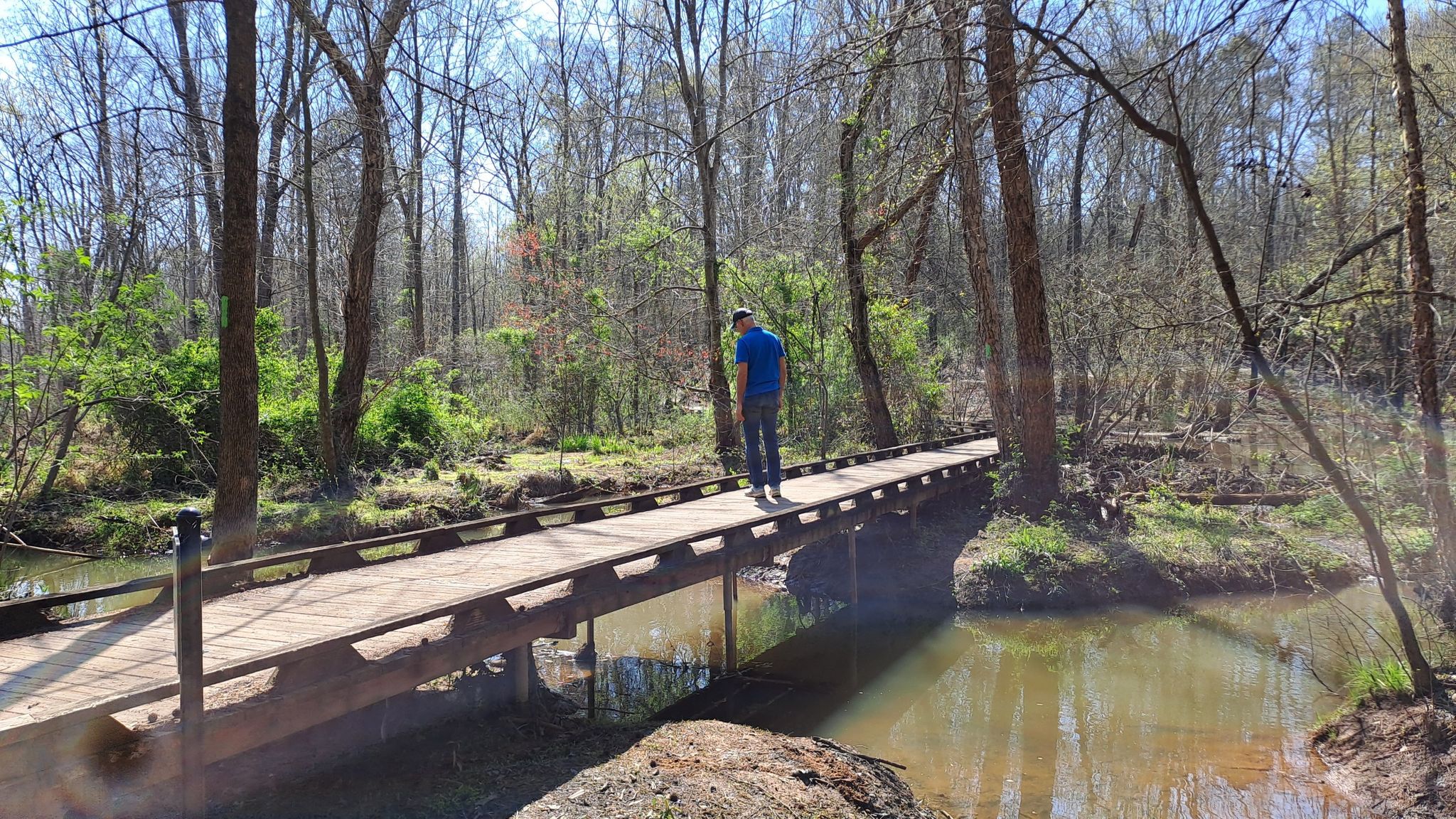 Man standing on a wooden bridge over water, surrounded by trees. - Lake Conestee Nature Park Loop