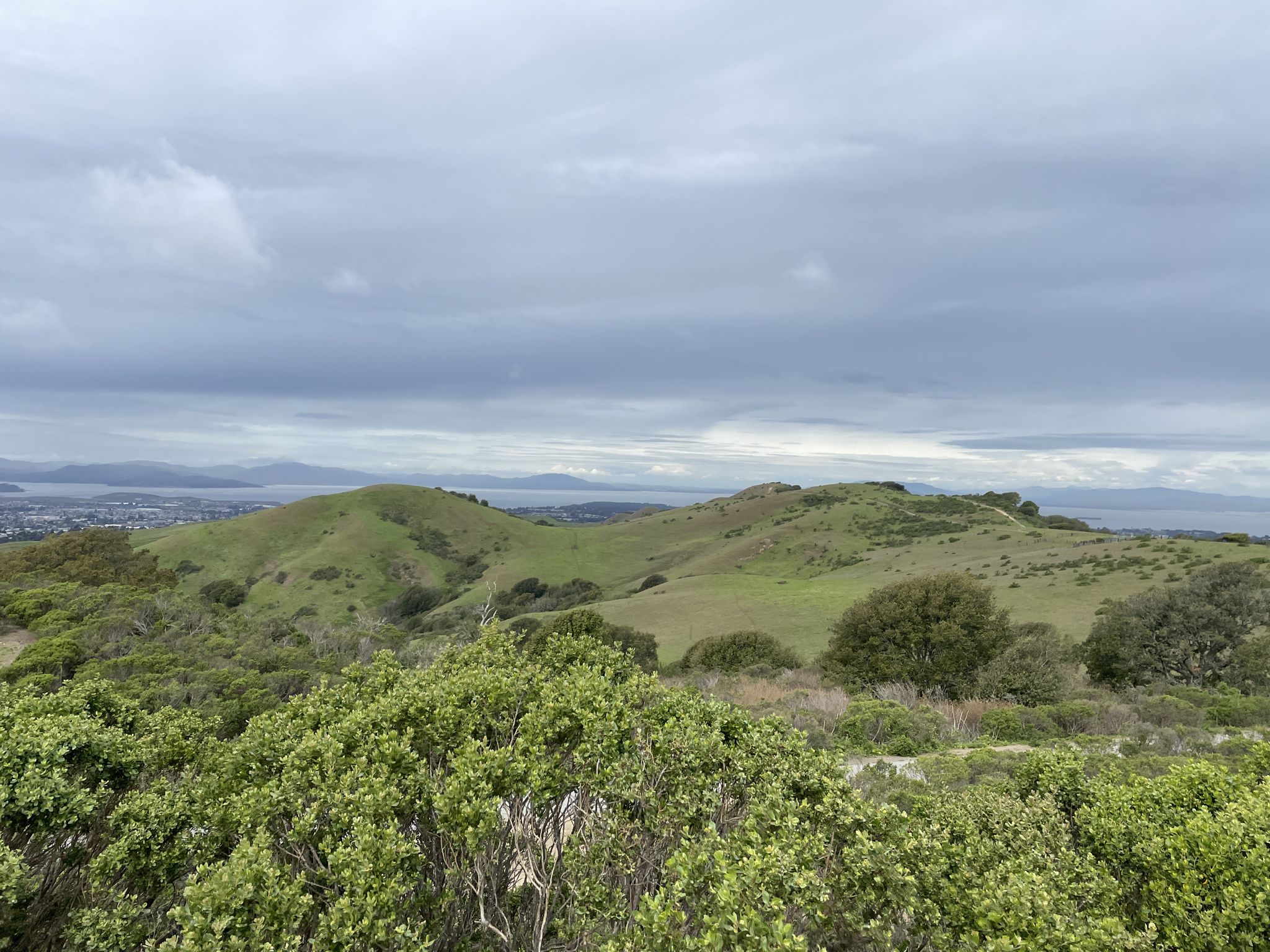 Rolling green hills under an overcast sky with distant water visible. - Mezue and Havey Canyon Trail Loop
