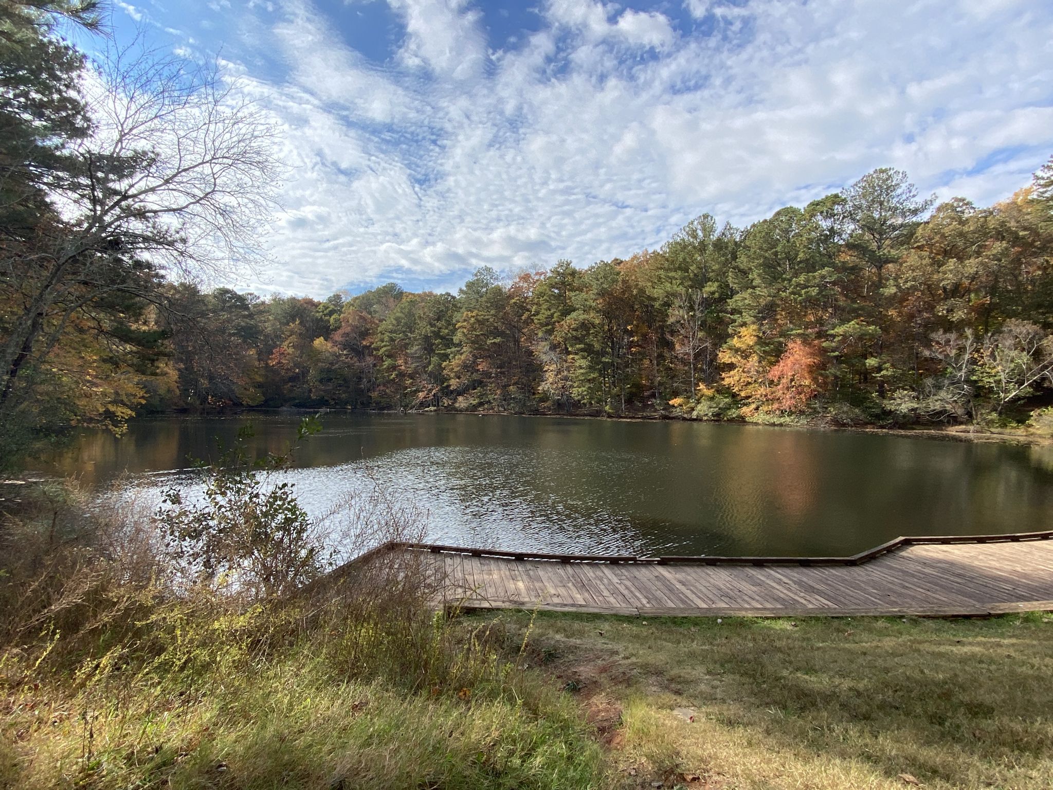 Wide lake with a wooden boardwalk, surrounded by colorful autumn trees. - Cochran Shoals and Sope Creek Loop