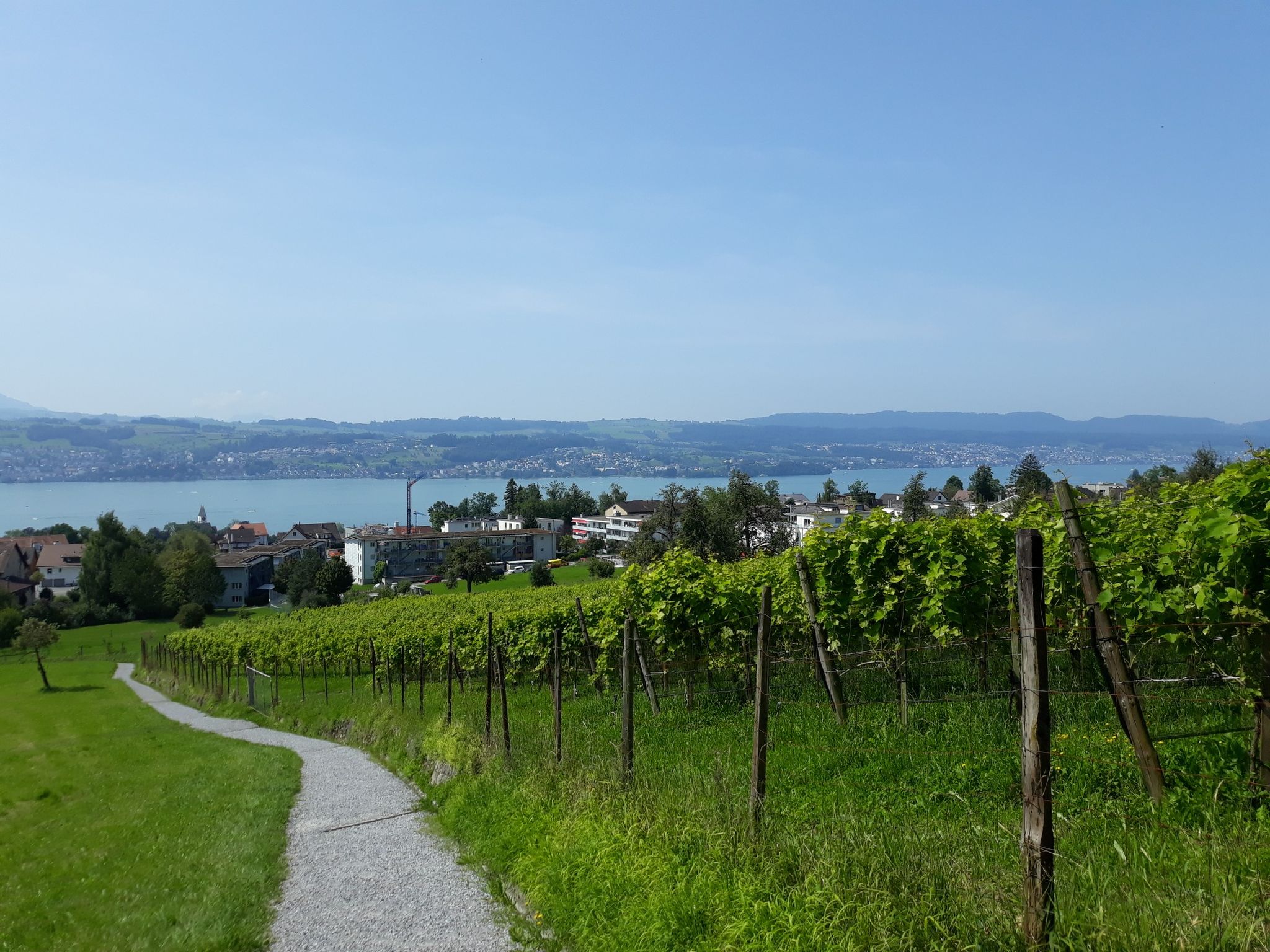 Blick auf den Zurüchsee