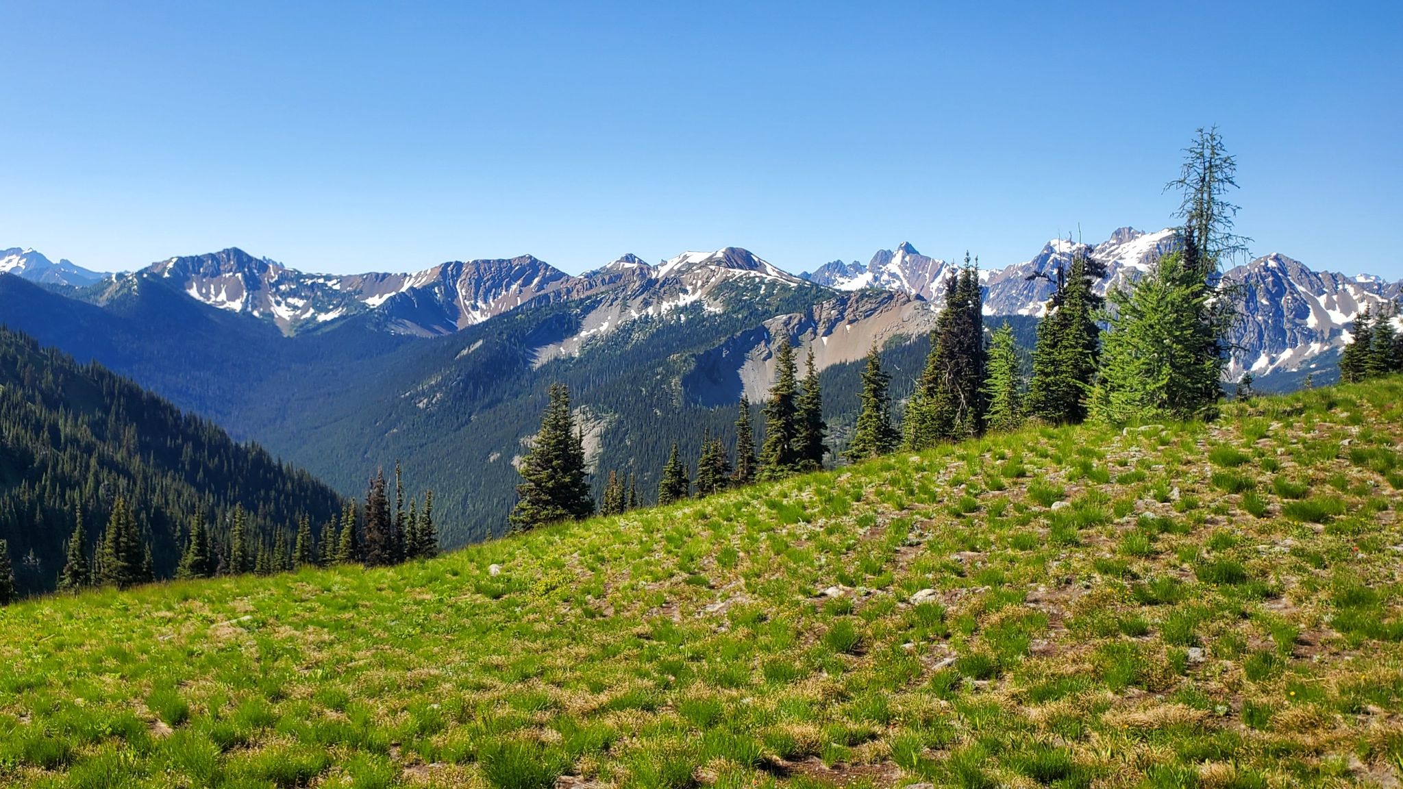 A panoramic view of snow-capped mountains and green valleys under a clear sky. - Windy Pass via the PCT