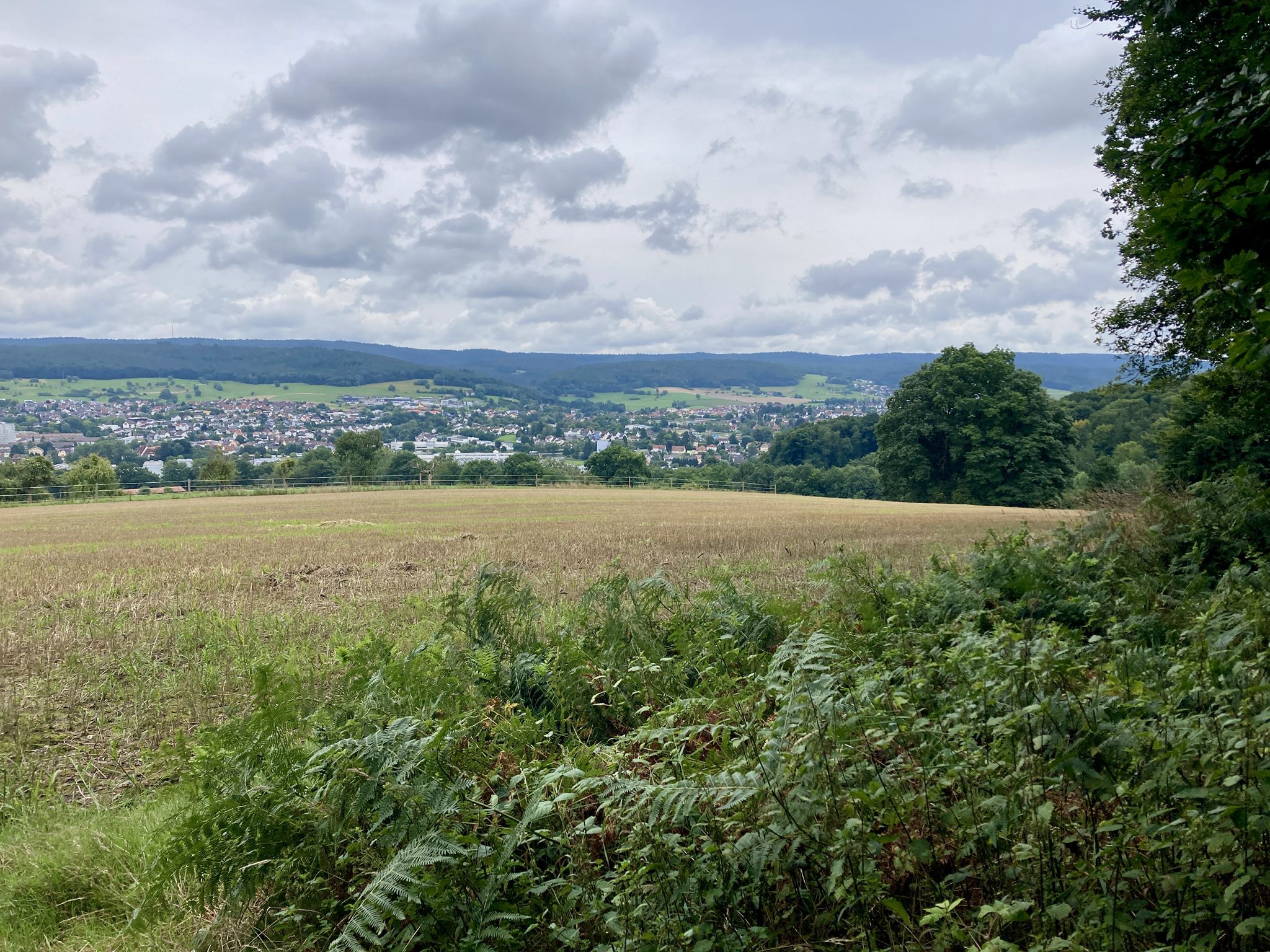 Blick auf Michelstadt-Erbach