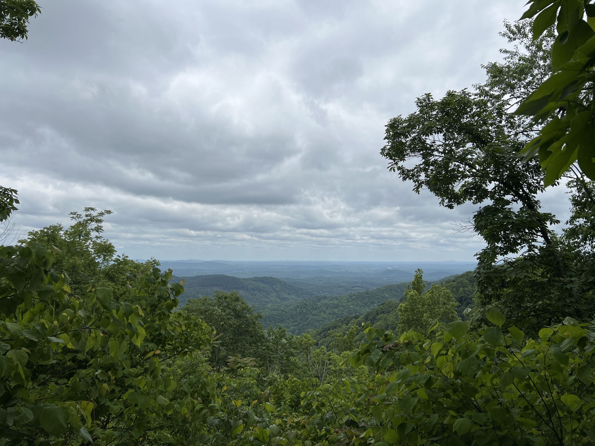 Dense green forest frames a hazy mountain view under a cloudy sky. - Smart View Loop Trail