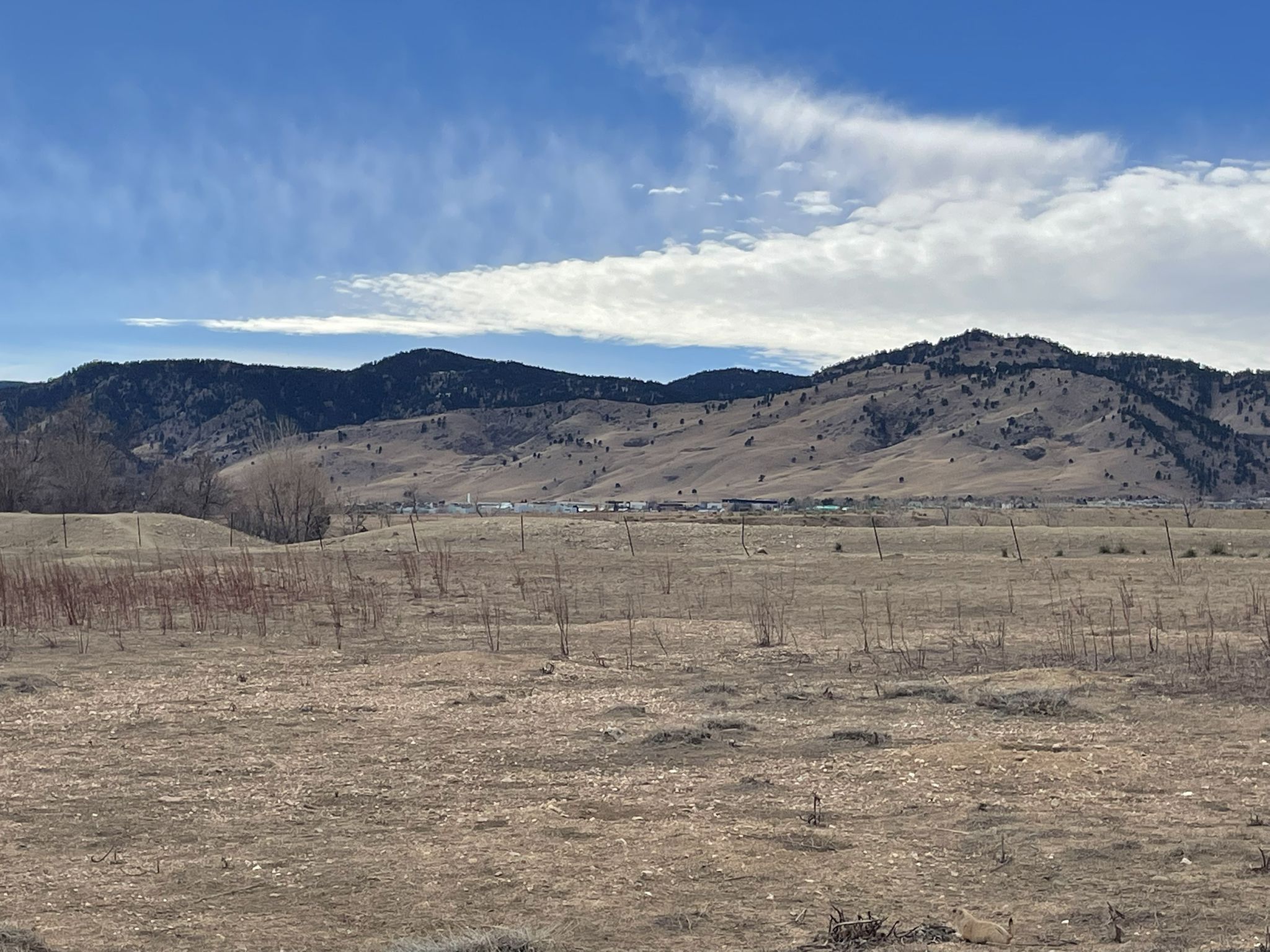 Dry field with distant mountains and sparse trees under a partly cloudy sky. - Eagle, Hidden Valley, and Cobalt Trail Loop