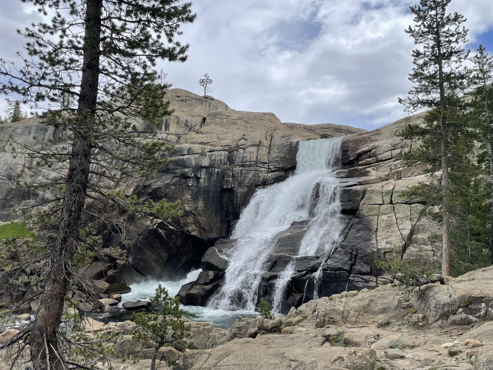 A multi-tiered waterfall flows over dark rocks, framed by pine trees. - Tuolumne Meadows to Glen Aulin High Sierra Camp