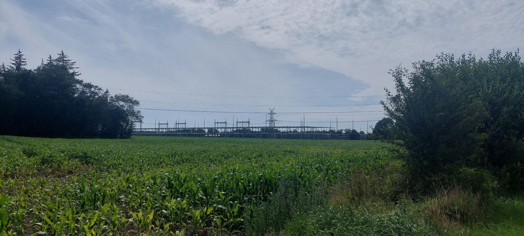 Die Energiewende Habeck zerstört überall Natur...🤮