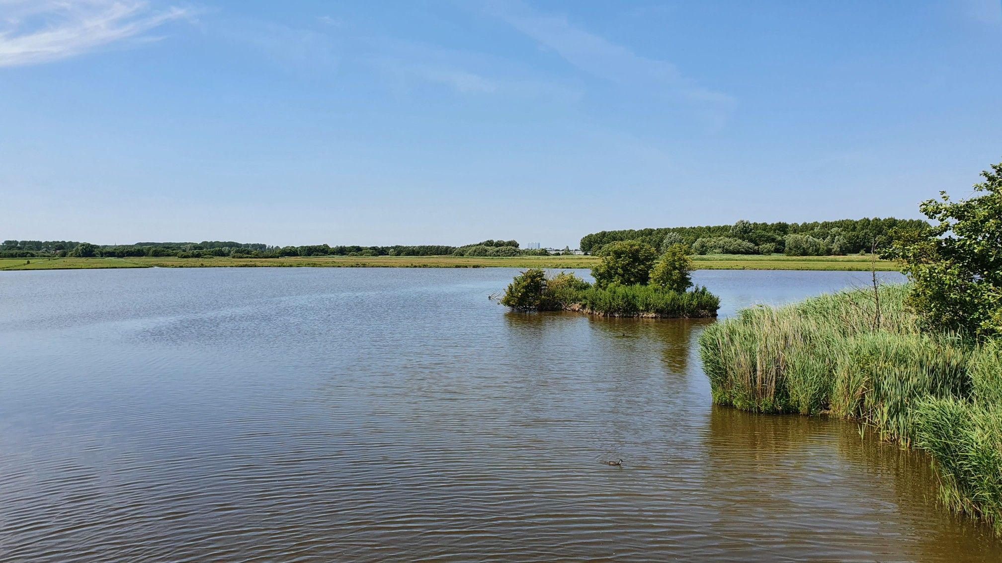 kwakelpad