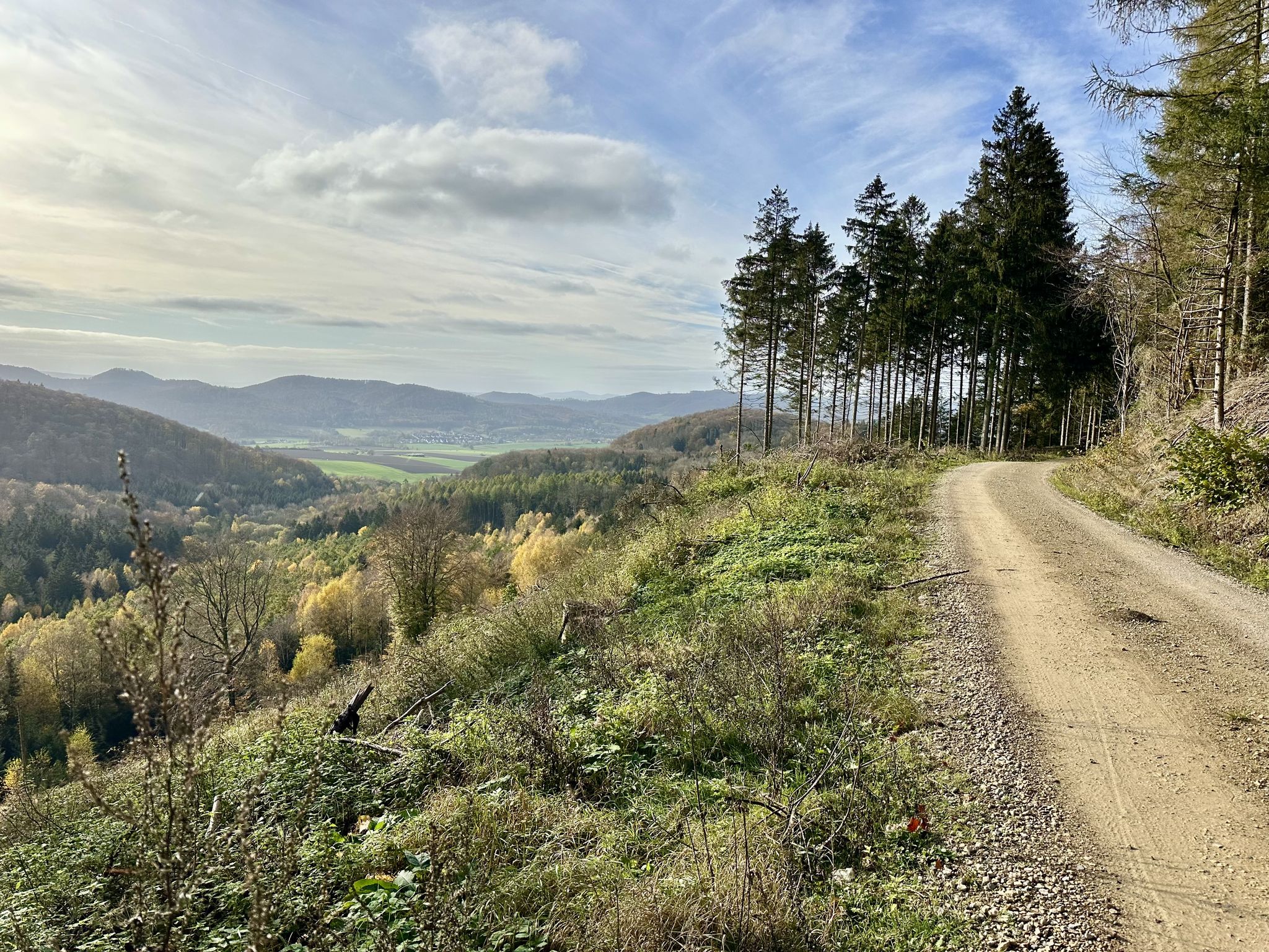 Hils-Kammweg in bester Qualität