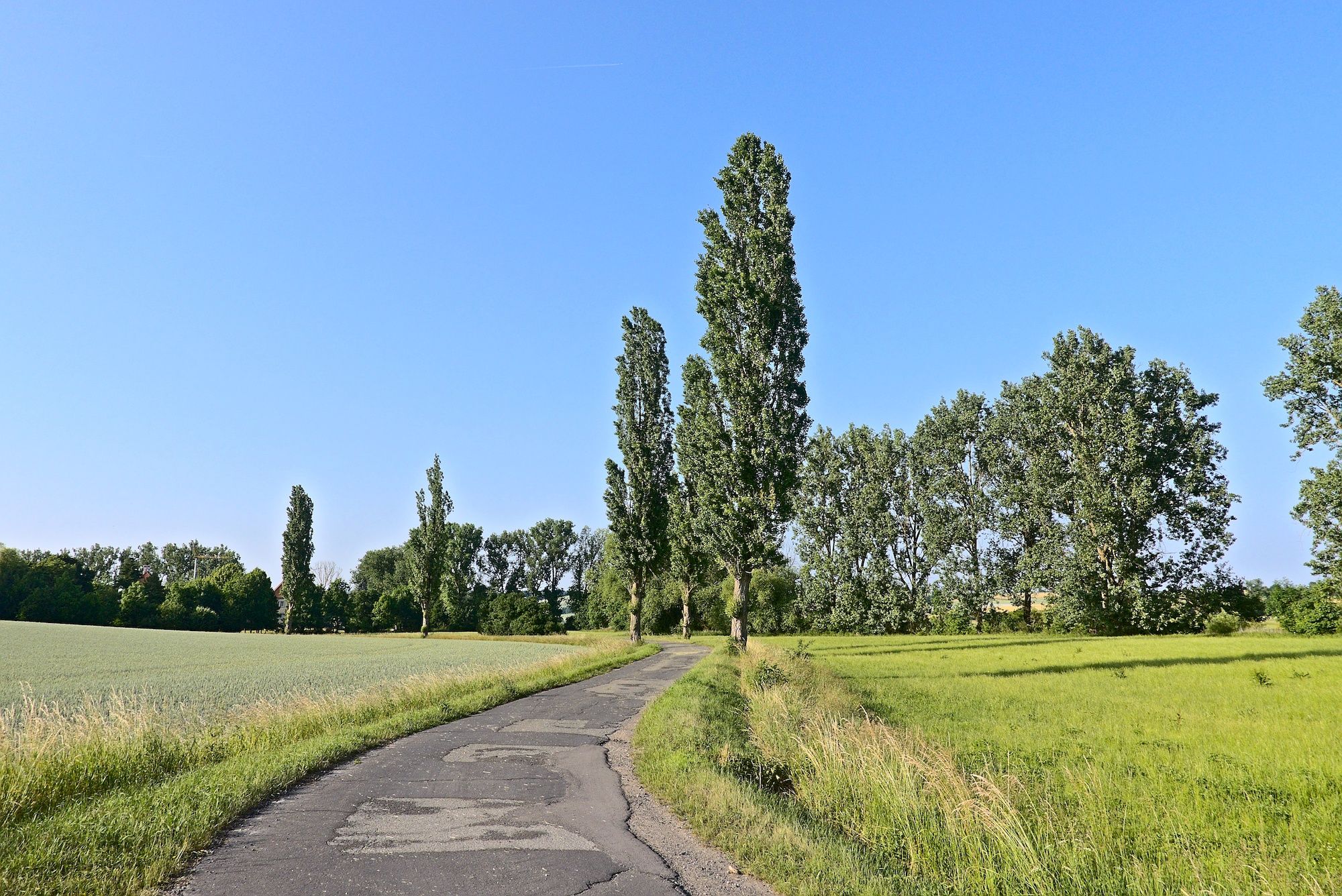 Die letzten Kurven bei der Rückkehr nach Untermerzbach