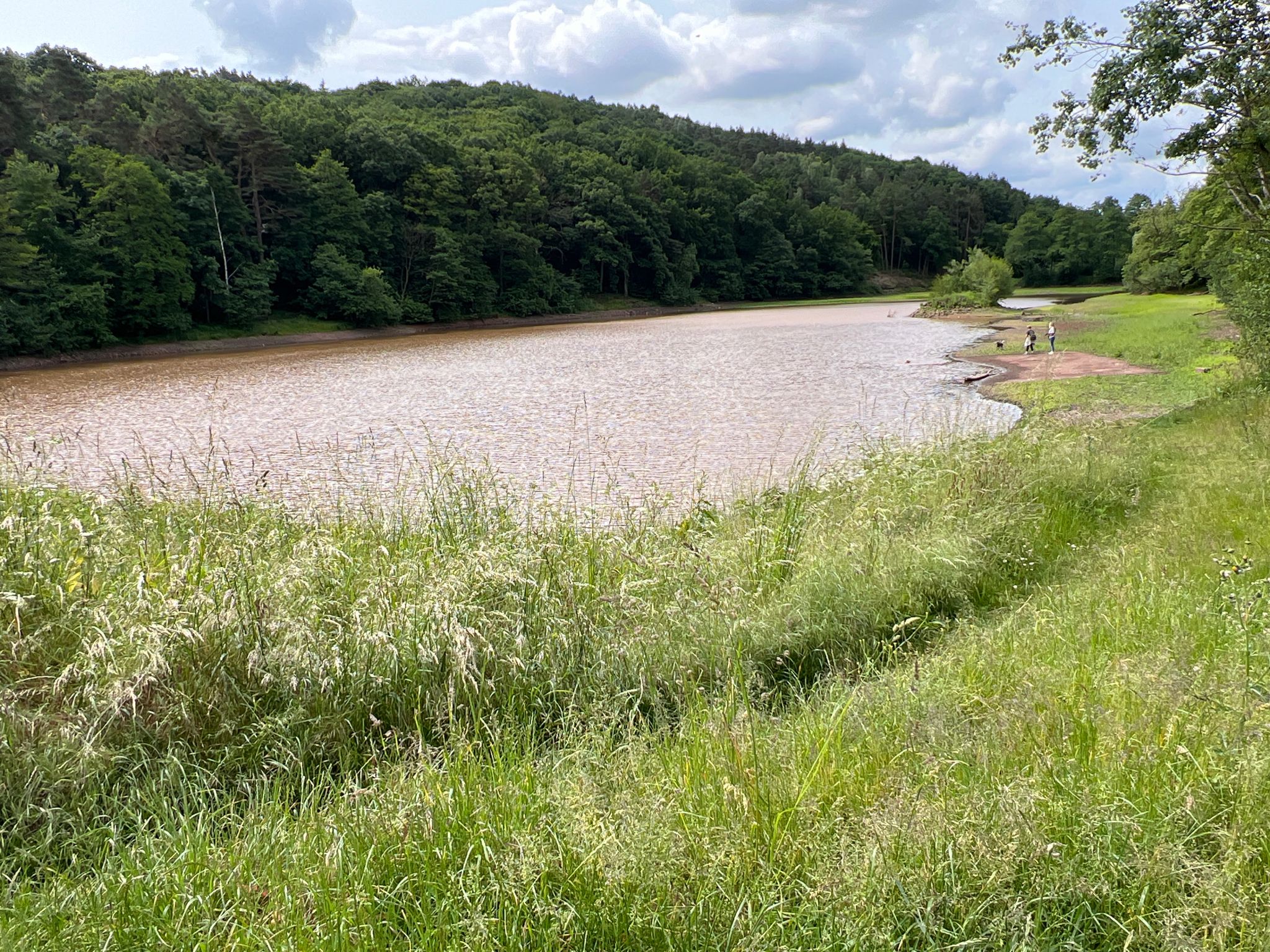 Mühlensee, aktuell, nach den Regenfällen der letzten Tage,  recht schlammig