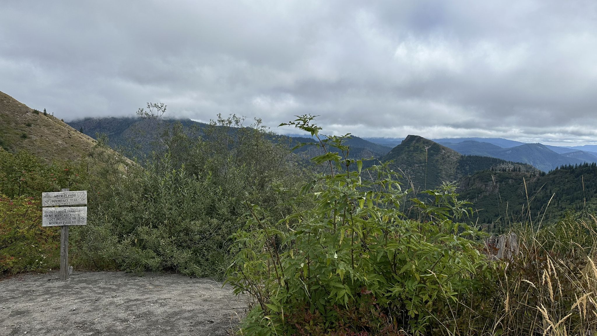 Mountainous landscape with a wooden sign and green bushes under a cloudy sky. - Norway Pass via Boundary Trail